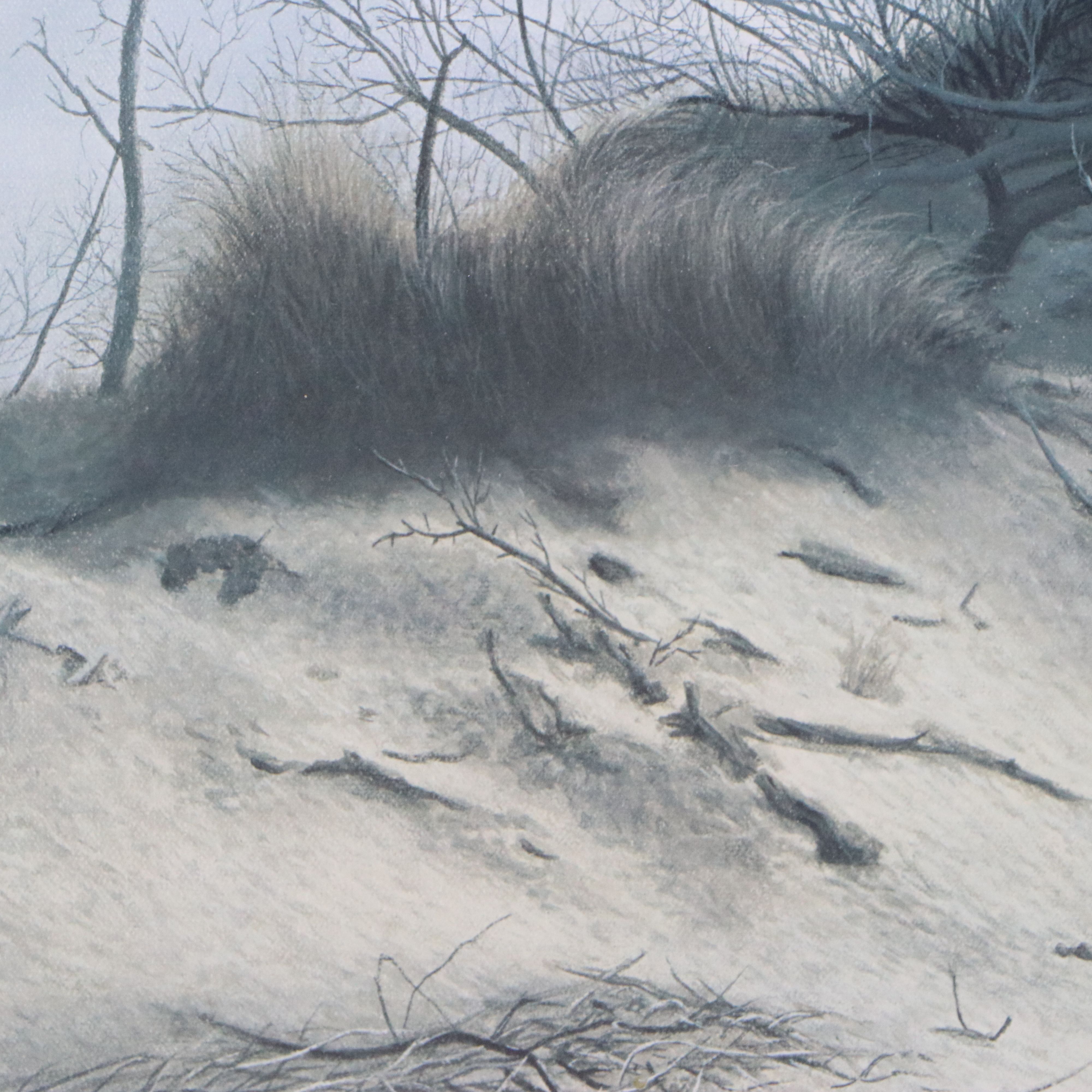 Charles Frace Offset Lithograph "American Eagle at Walking Dunes"