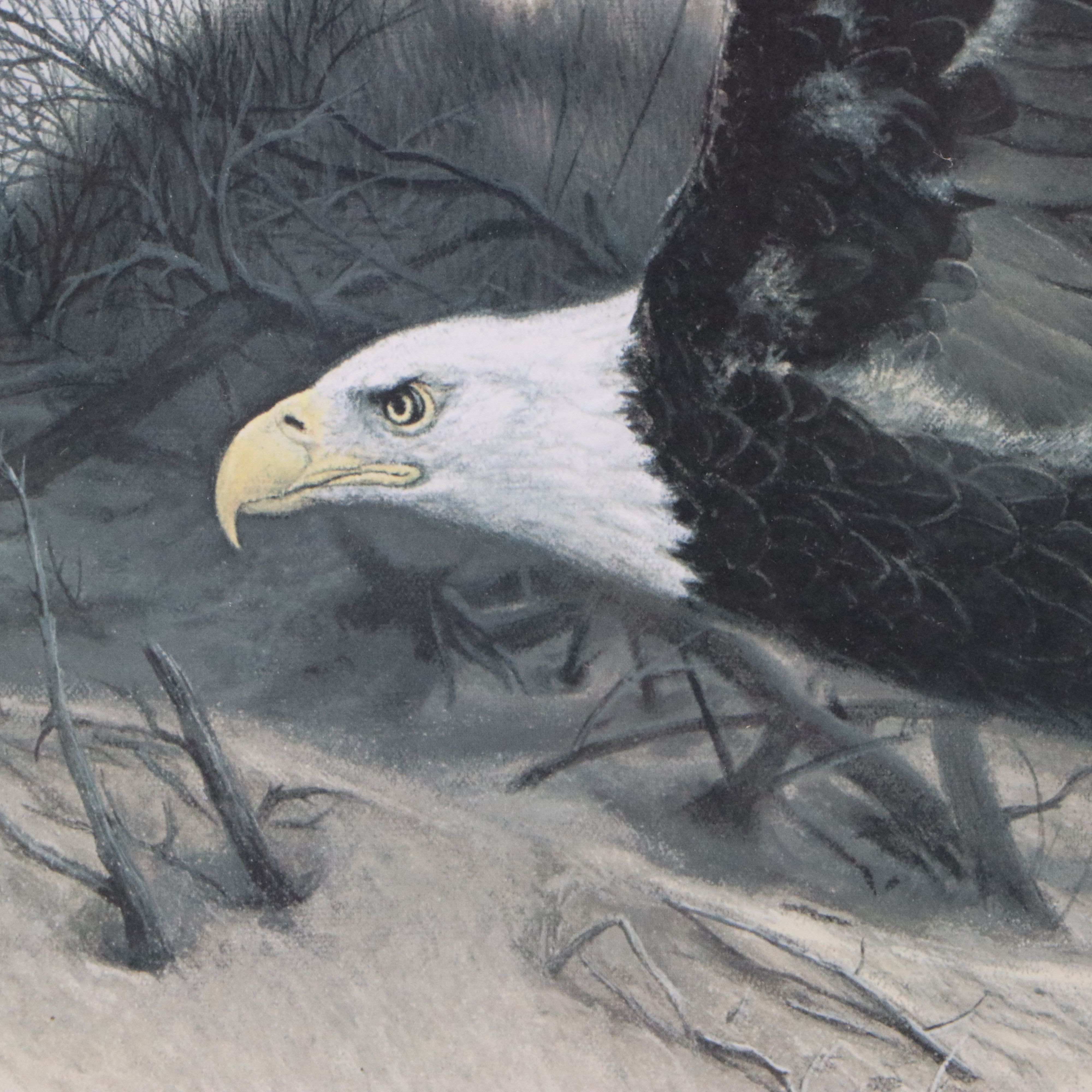 Charles Frace Offset Lithograph "American Eagle at Walking Dunes"