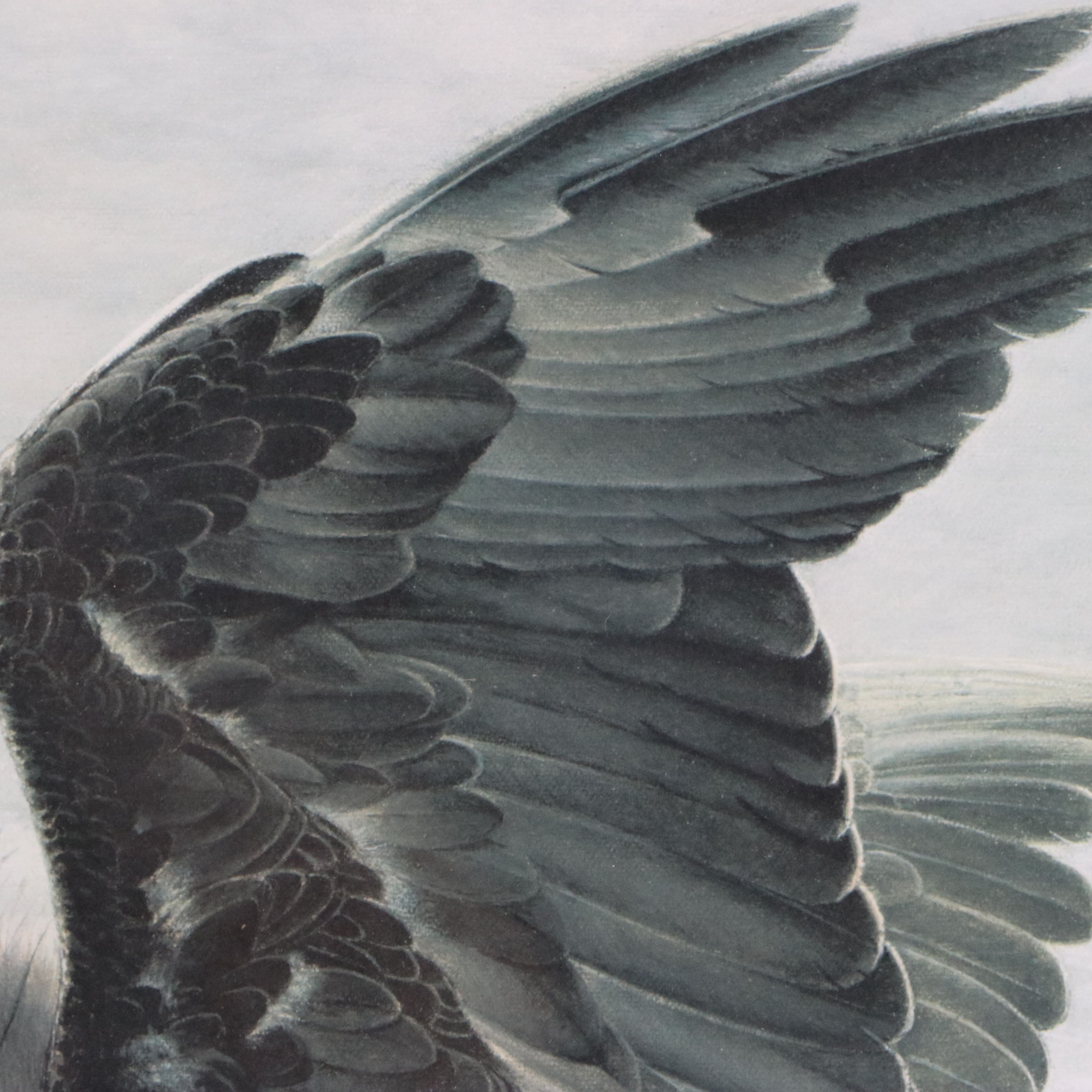 Charles Frace Offset Lithograph "American Eagle at Walking Dunes"