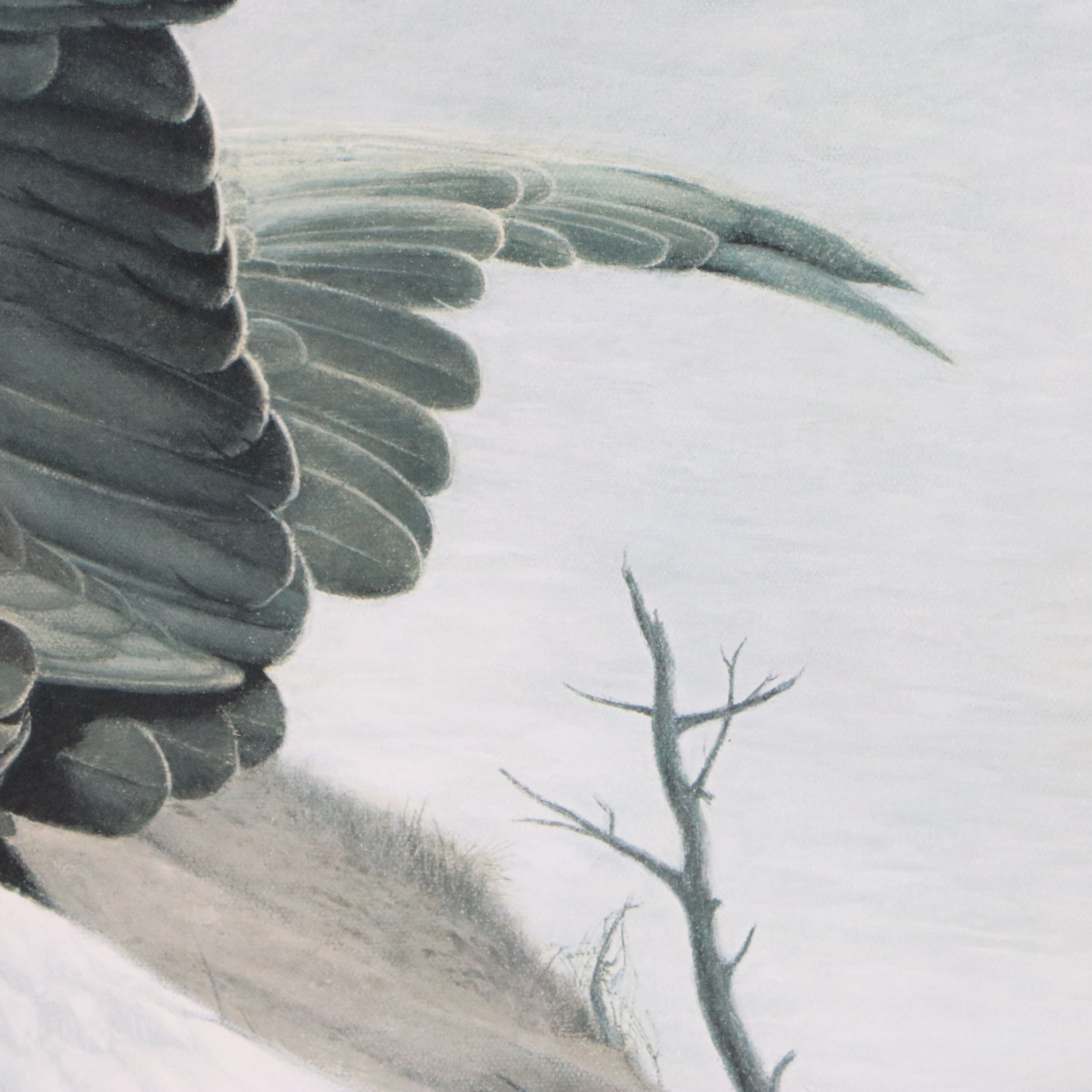 Charles Frace Offset Lithograph "American Eagle at Walking Dunes"