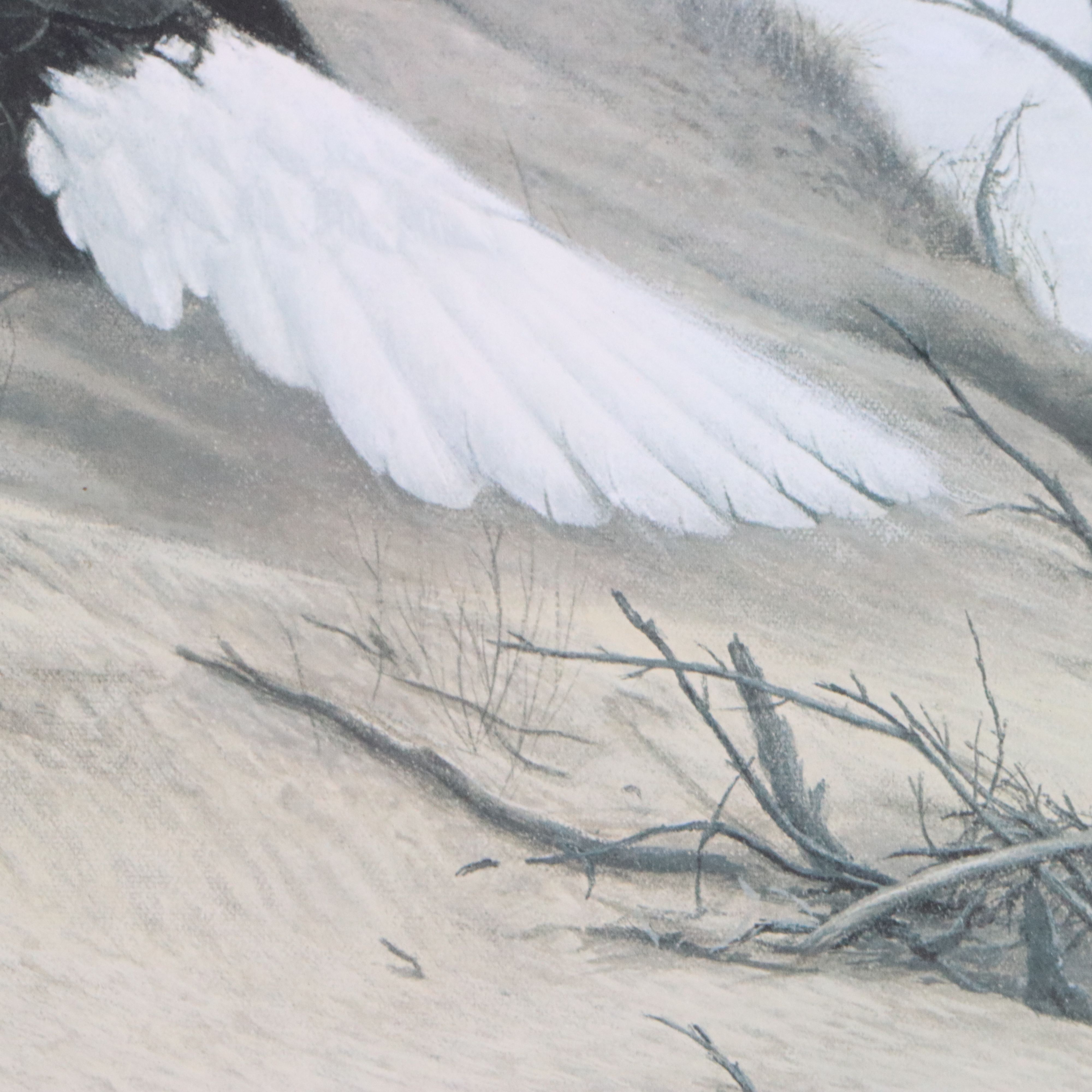 Charles Frace Offset Lithograph "American Eagle at Walking Dunes"