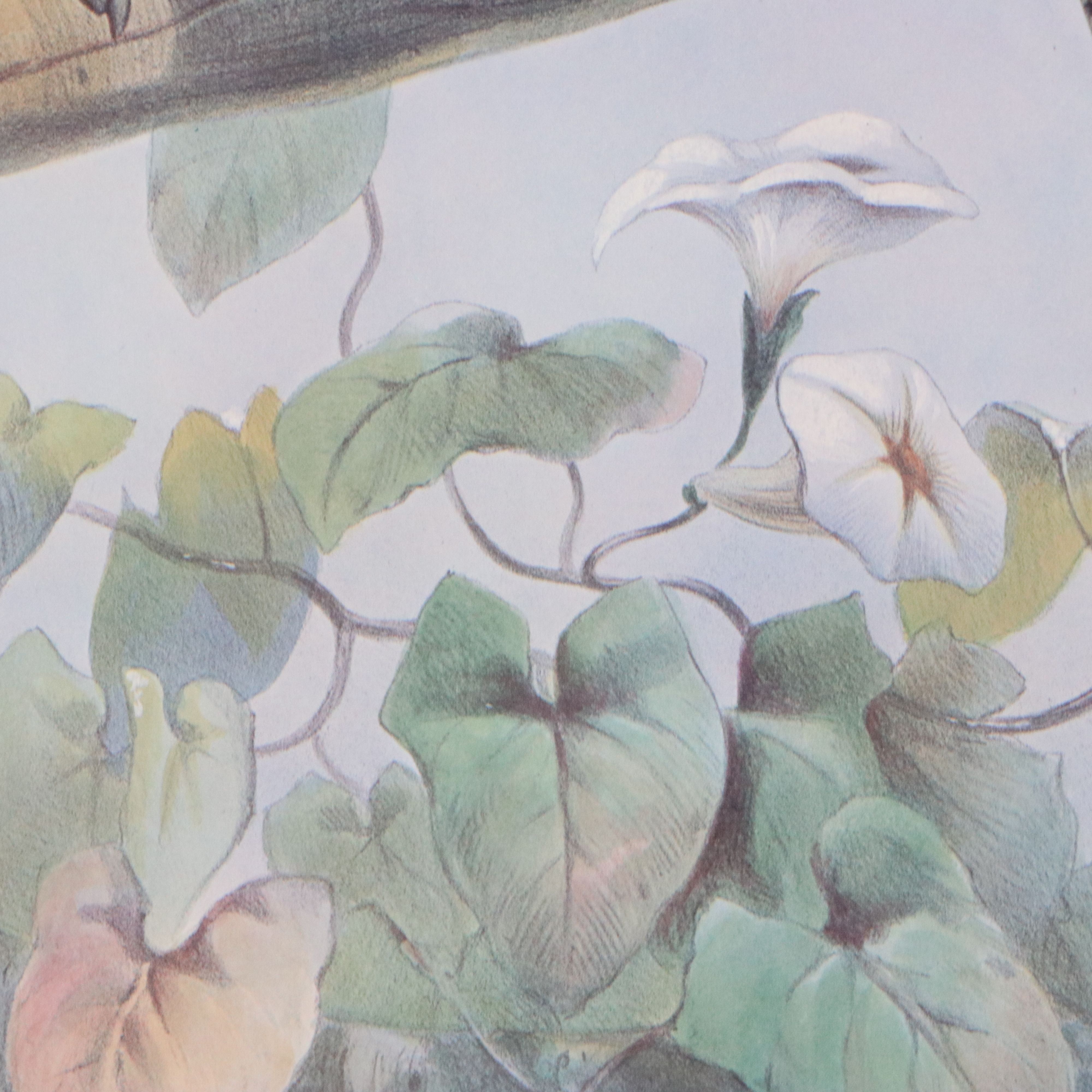 Ornithological Giclée After Joseph Wolf and Joseph Smit "Hybrid Pheasant"