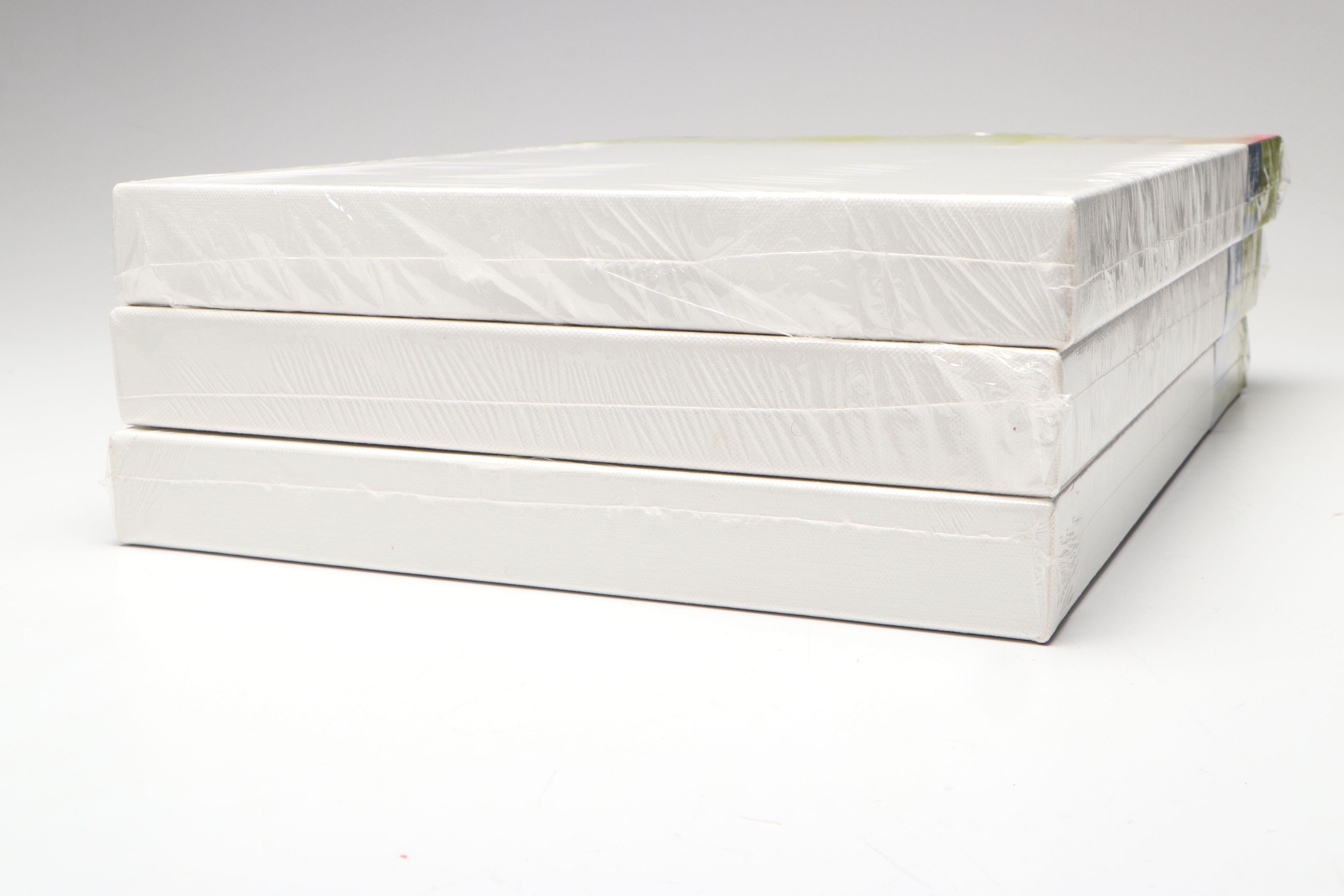 Winsor & Newton, Monet Pro, Artist's Loft and More Gallery Wrapped Canvases