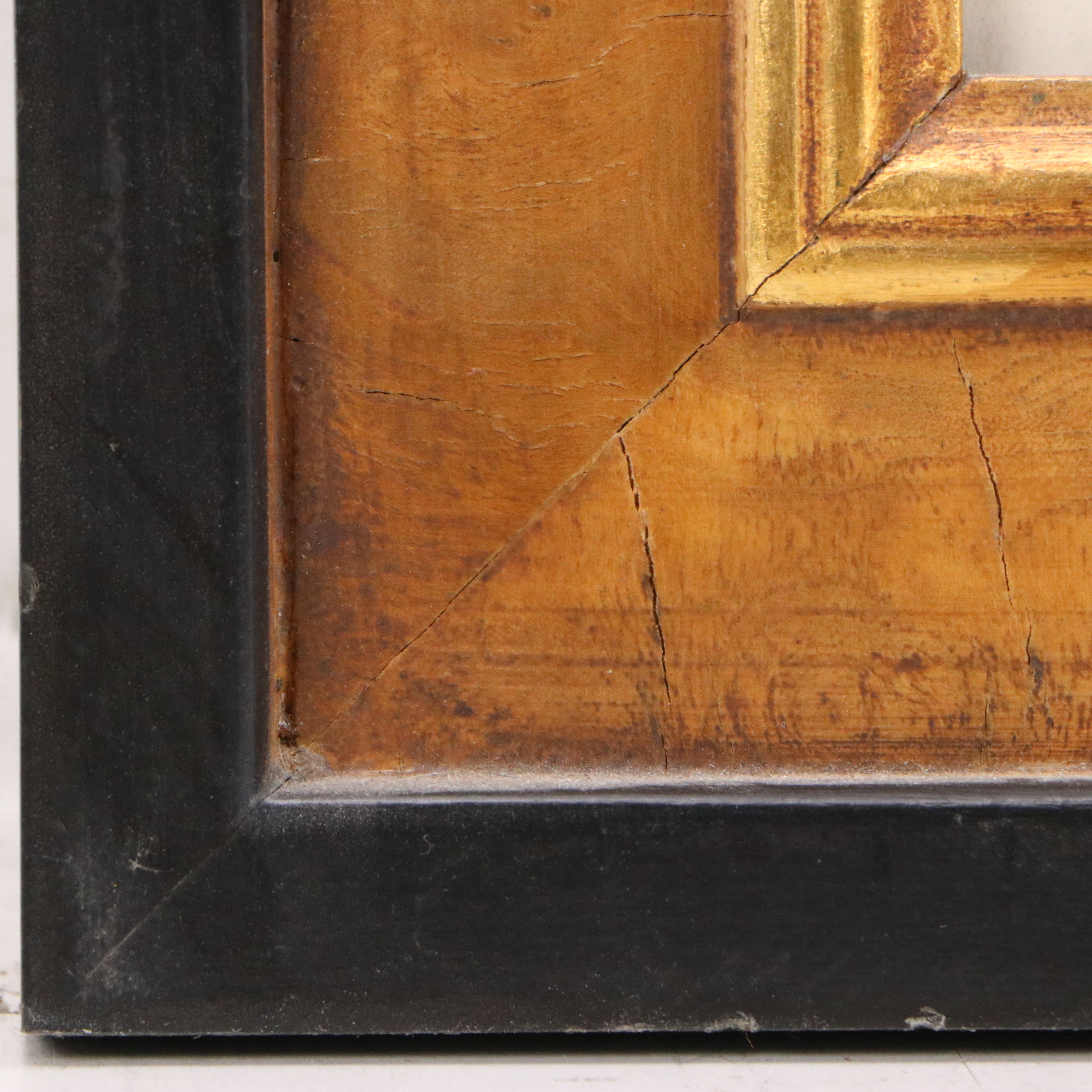 Ornithological Giclée After Sir William Jardine "Trochilus Mellivorus"