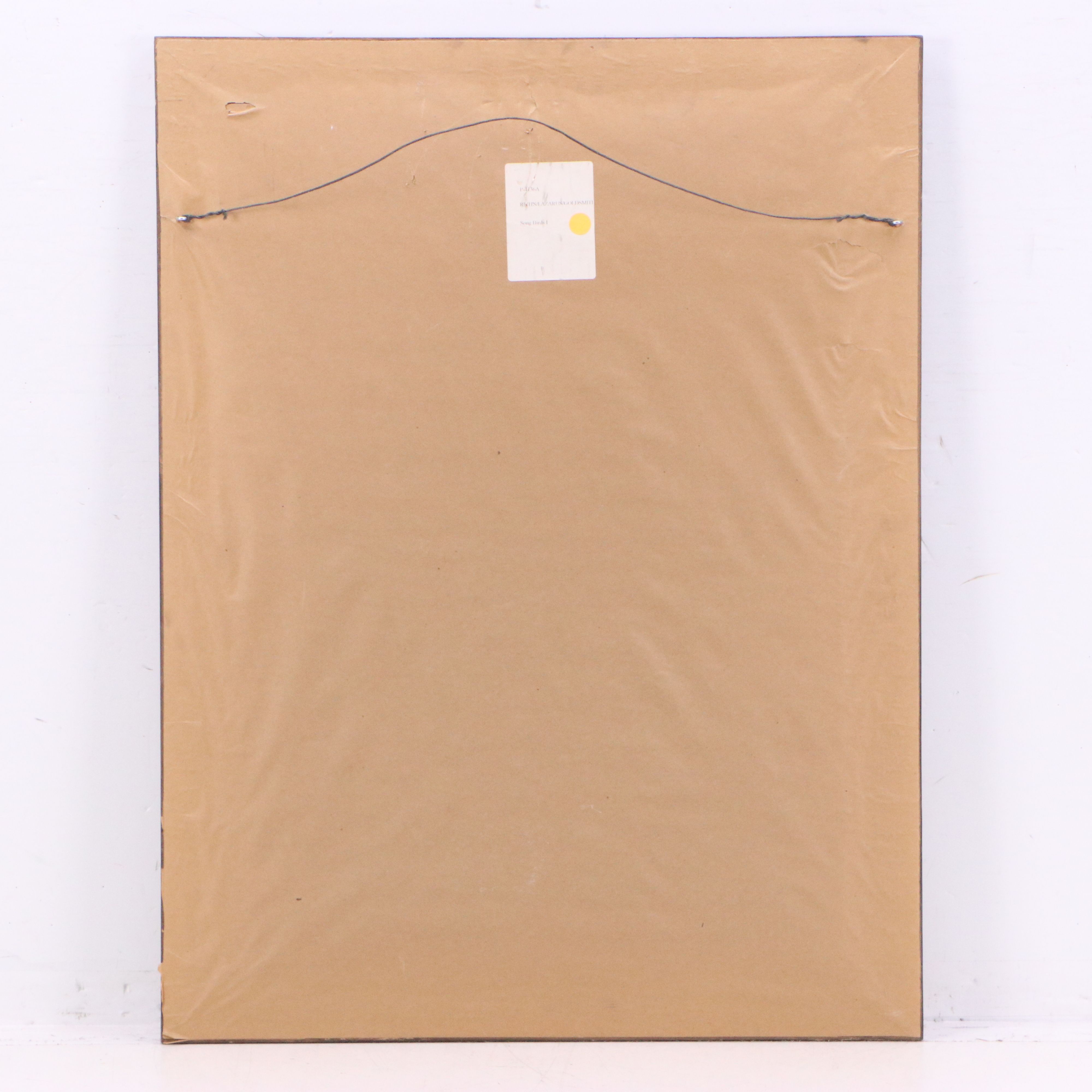 Ornithological Giclée After Sir William Jardine "Trochilus Mellivorus"