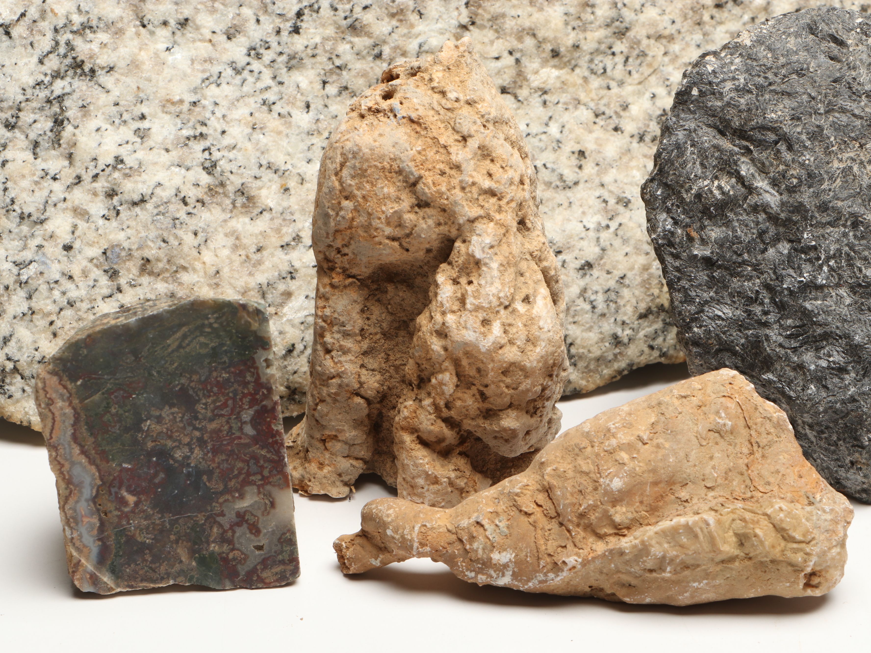 Extensive Petrified Wood Collection with Regional Stalactites and More