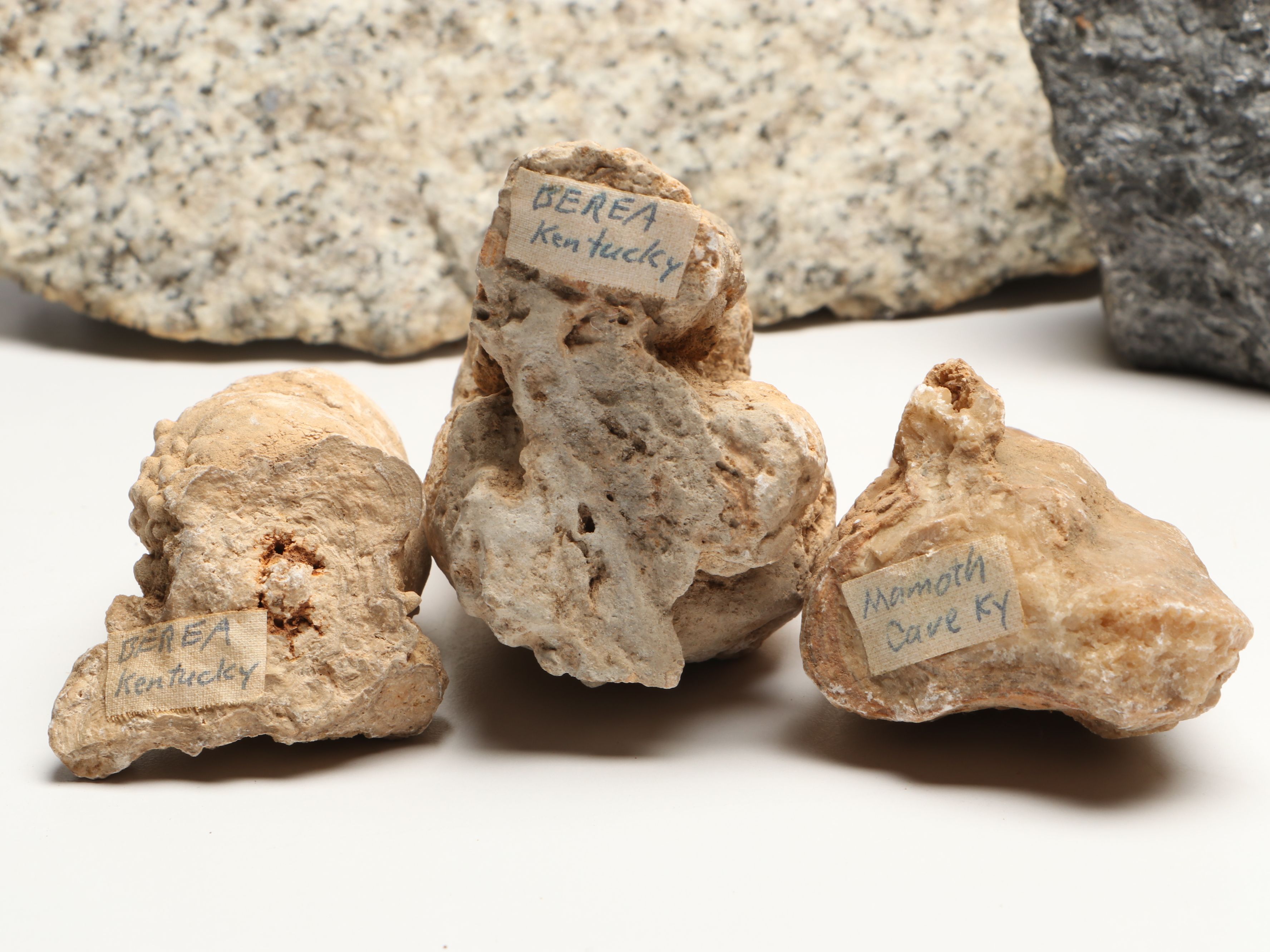 Extensive Petrified Wood Collection with Regional Stalactites and More