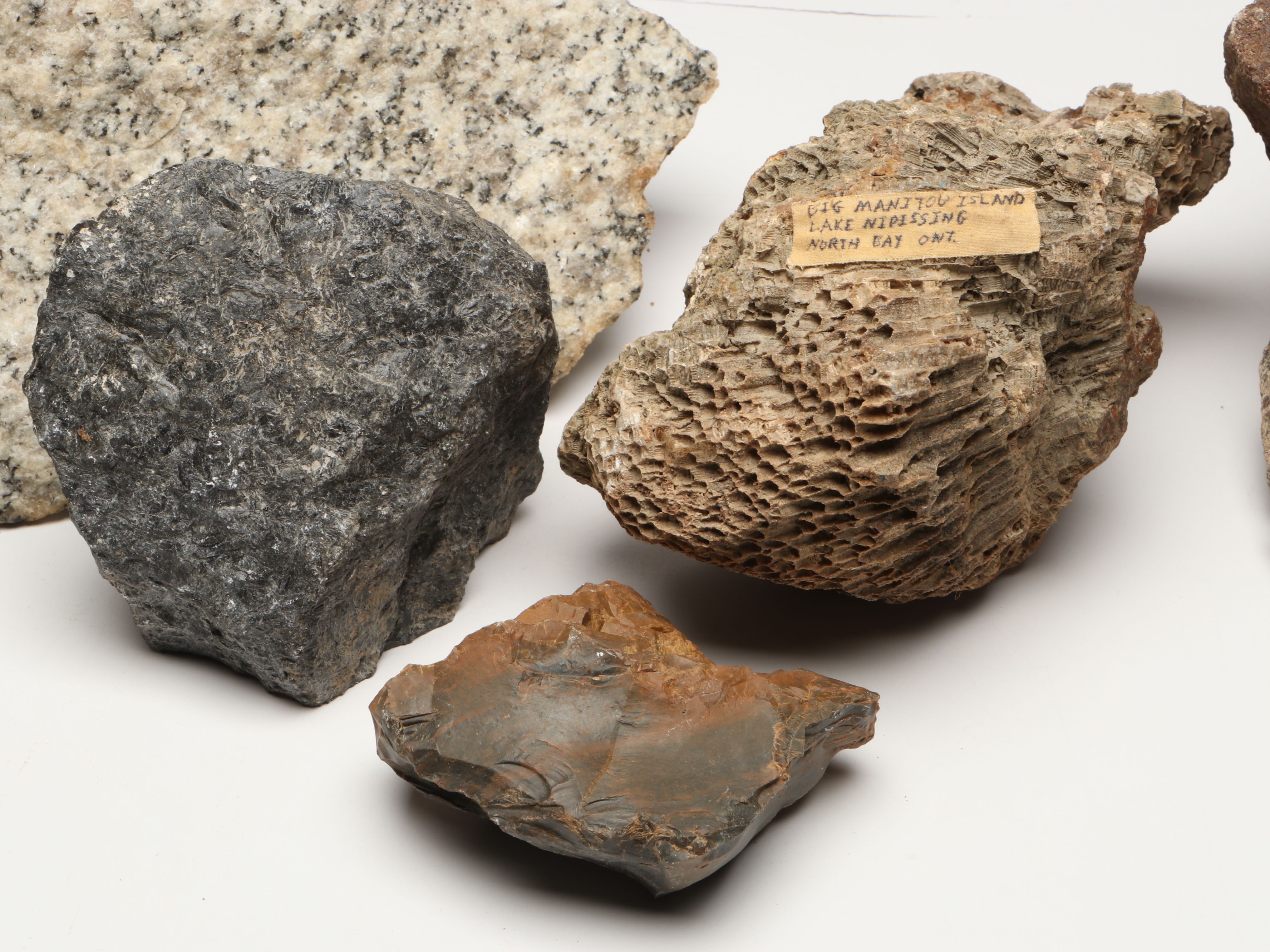 Extensive Petrified Wood Collection with Regional Stalactites and More