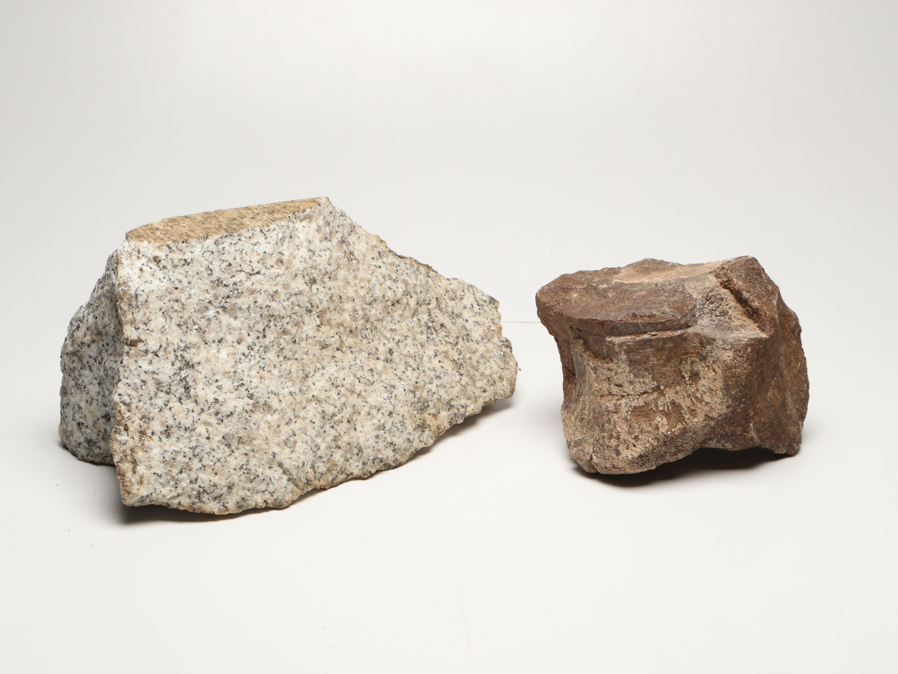 Extensive Petrified Wood Collection with Regional Stalactites and More