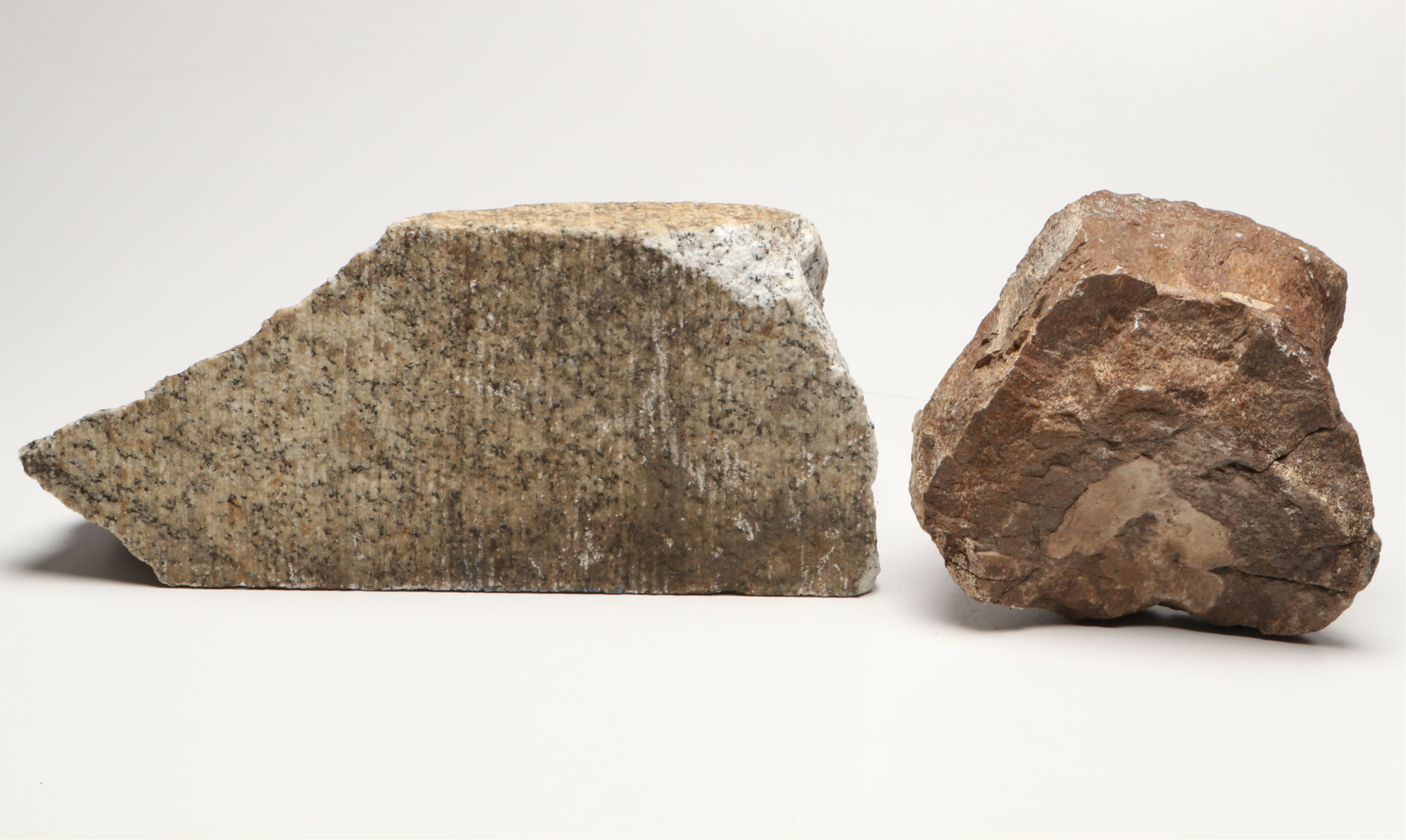 Extensive Petrified Wood Collection with Regional Stalactites and More