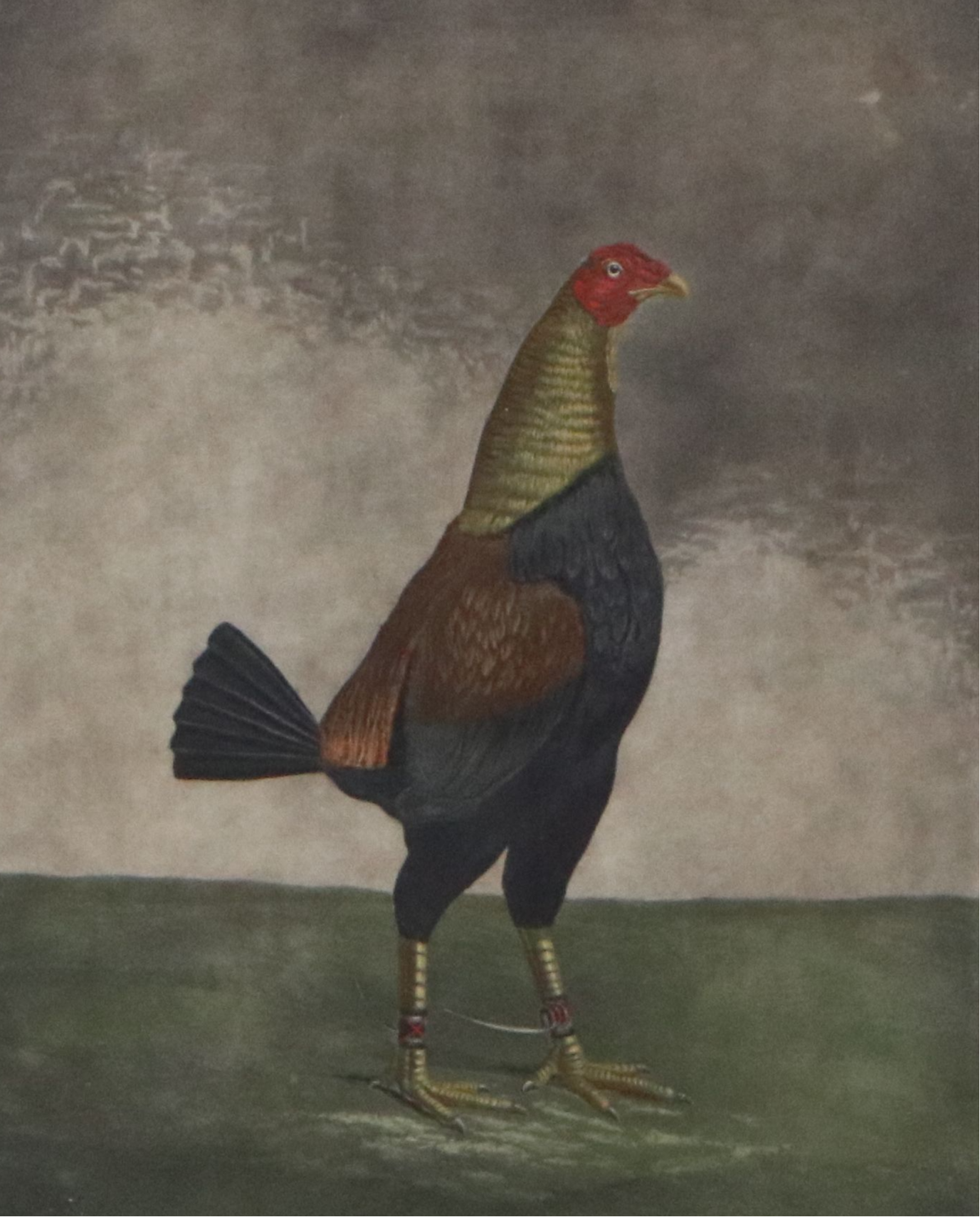 After Benhamin Marshall Engraving "War," Early 19th Century