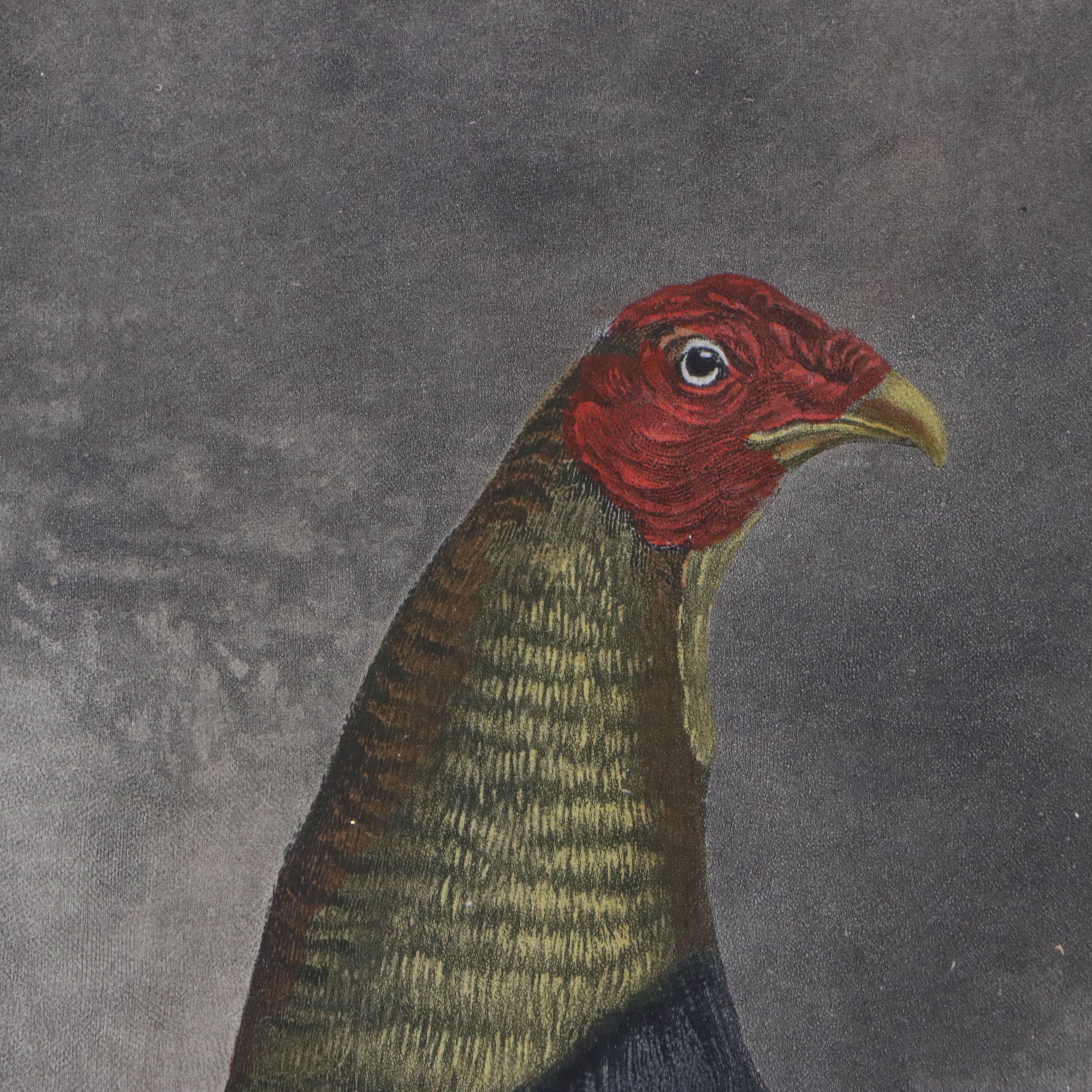 After Benhamin Marshall Engraving "War," Early 19th Century