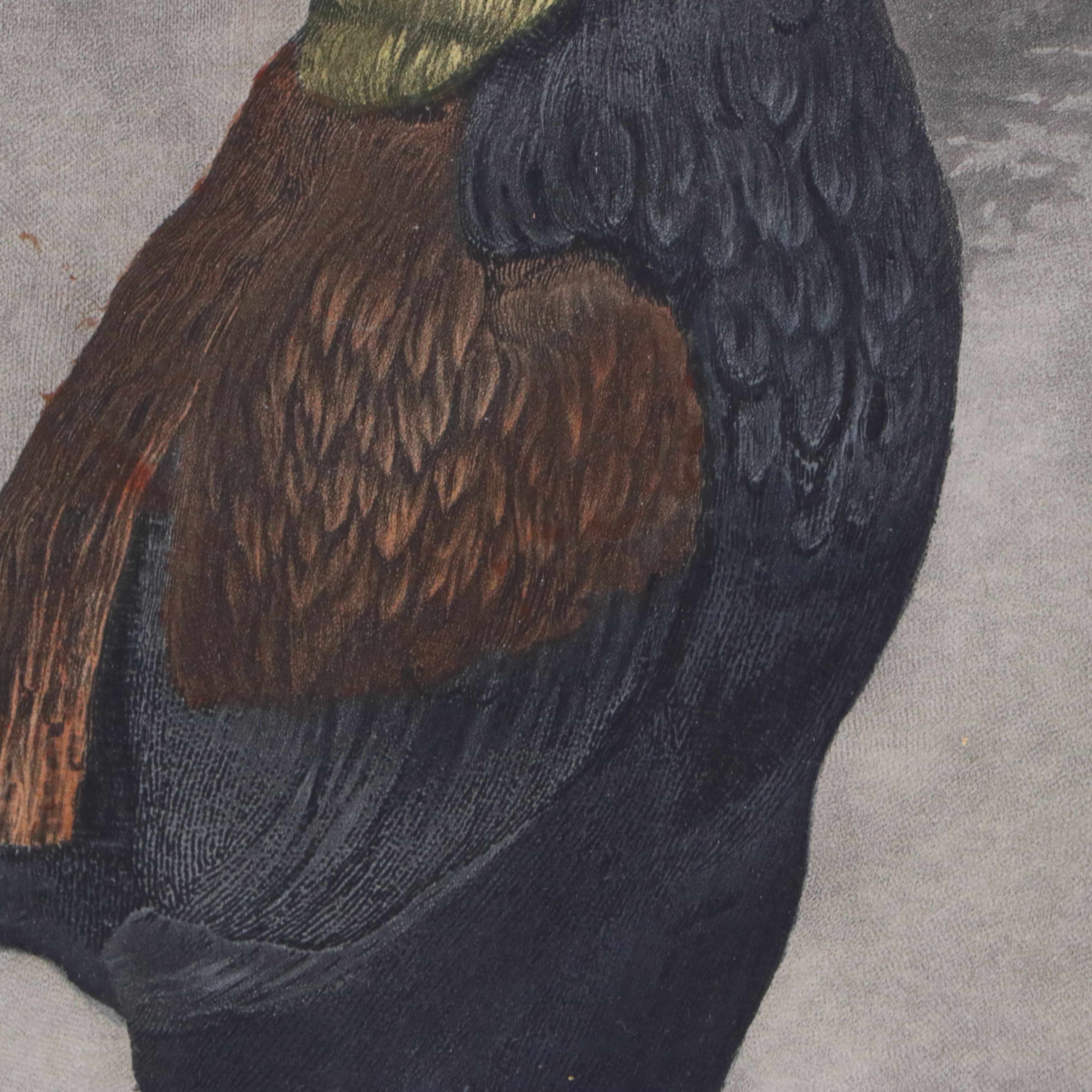 After Benhamin Marshall Engraving "War," Early 19th Century