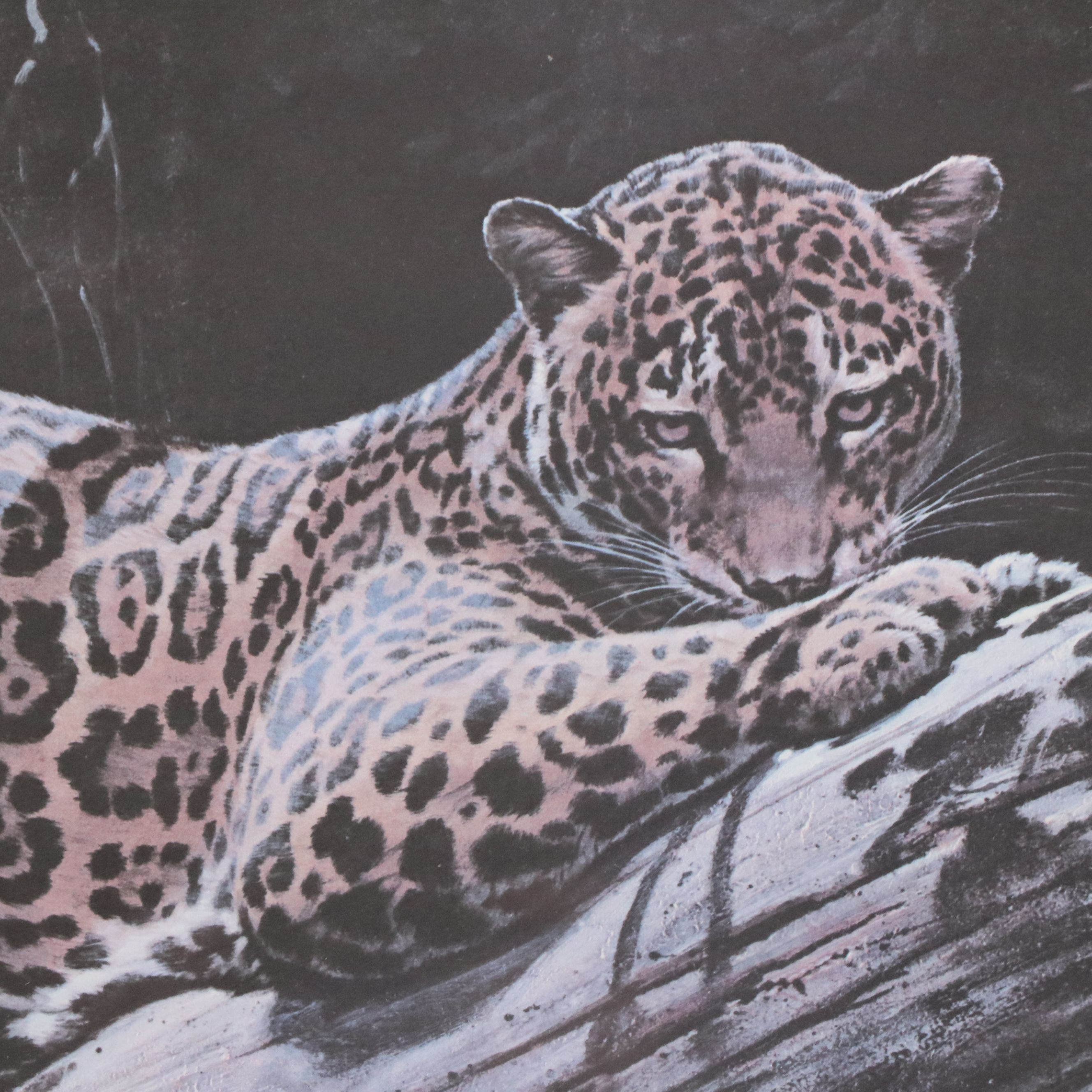 Guy Coheleach Offset Lithograph "Jungle Jaguar," 1973