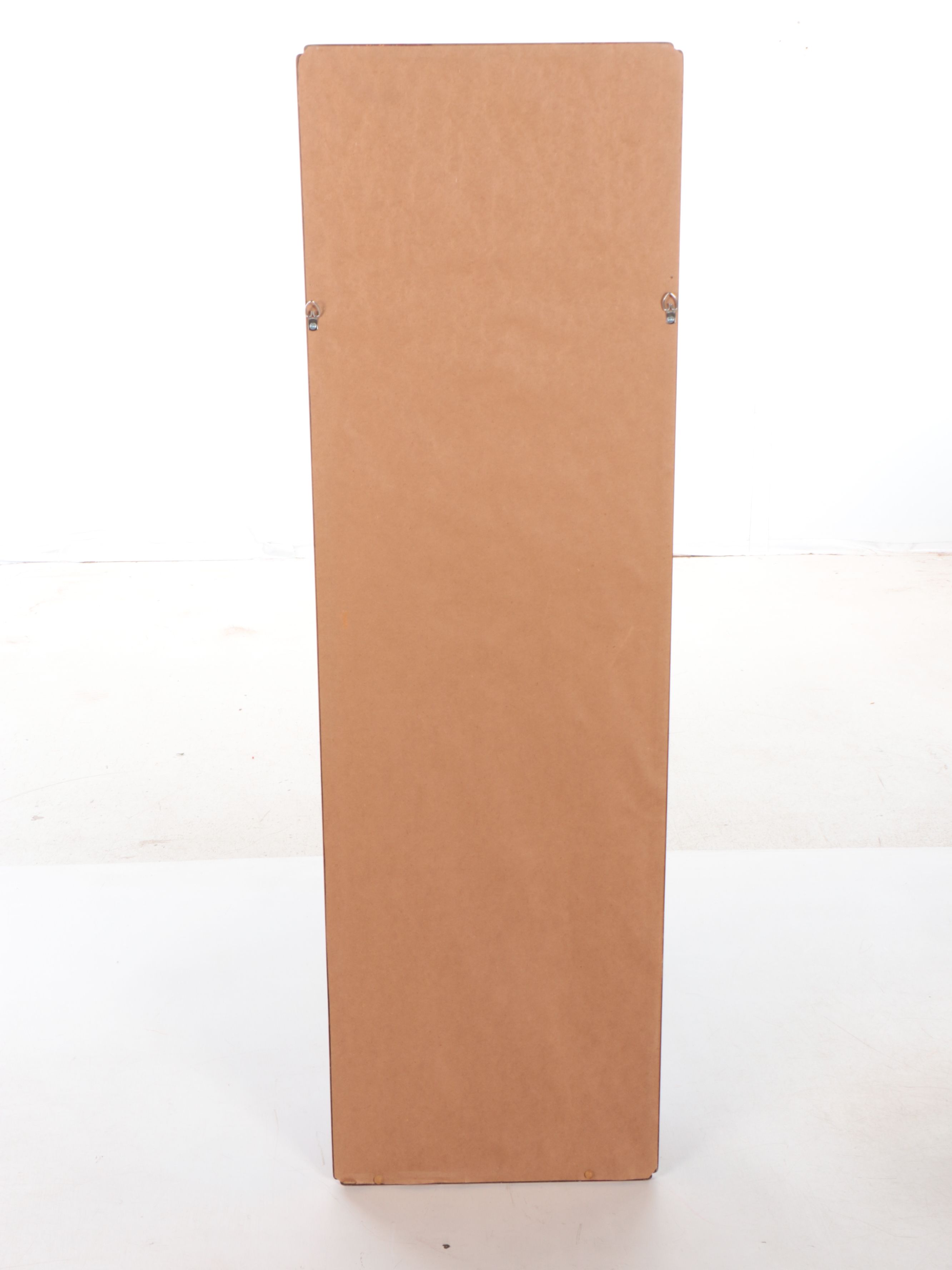 Gilt Two Tone Full-Length Wall Mirror