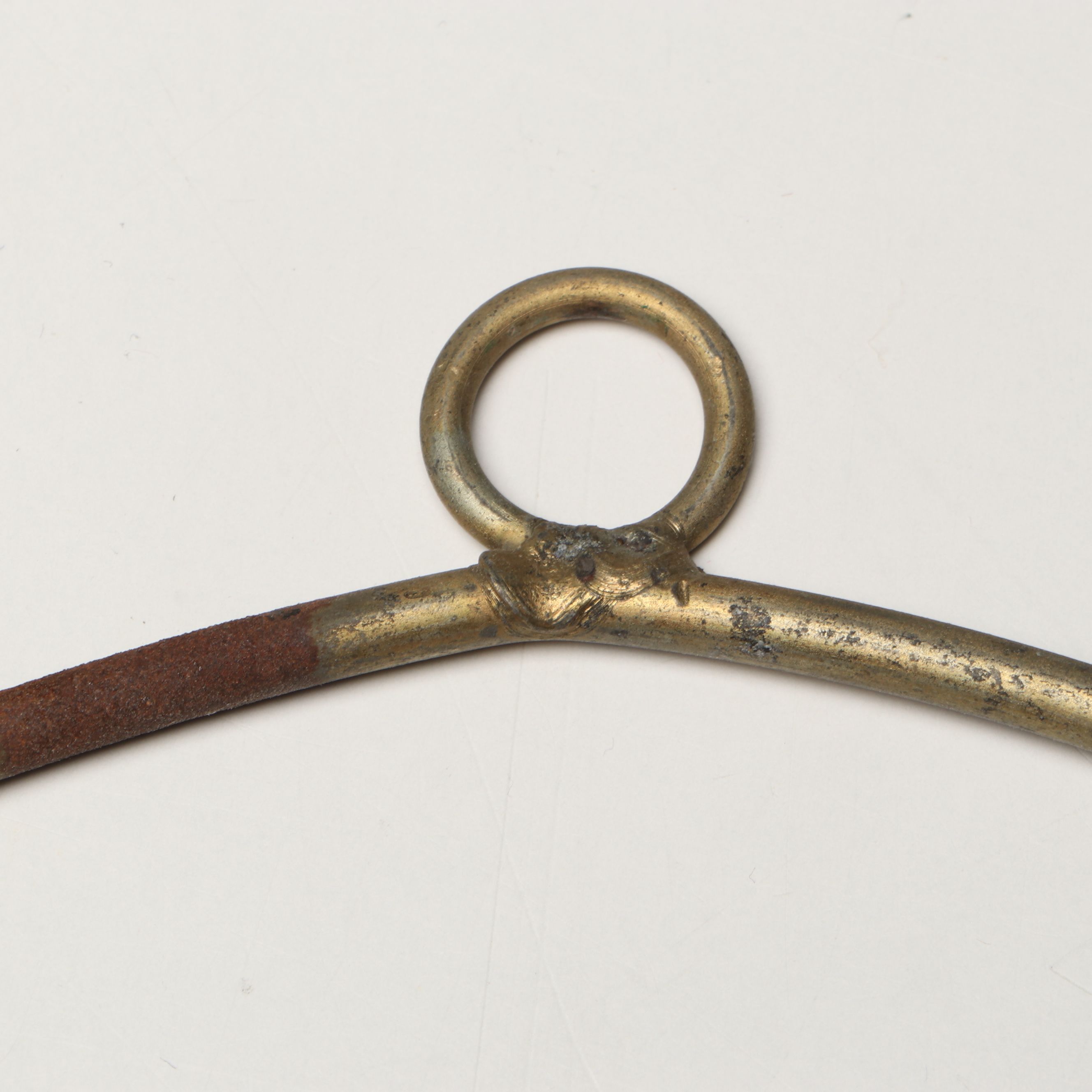 Mexican Hand-Painted Ceramic Parrot with Hanging Metal Perch