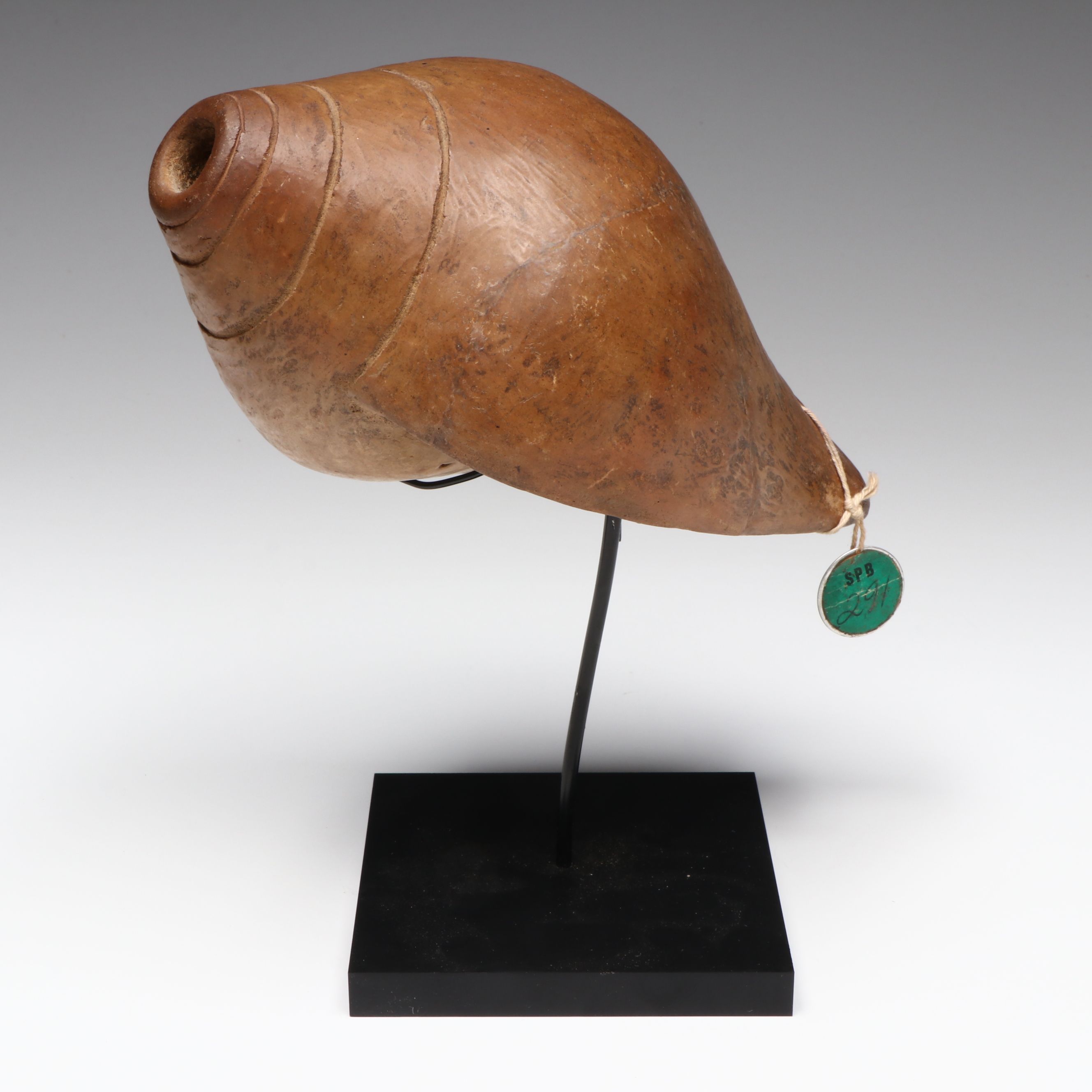 Colima Pottery Conch Seashell, Circa 100 BCE–250 CE