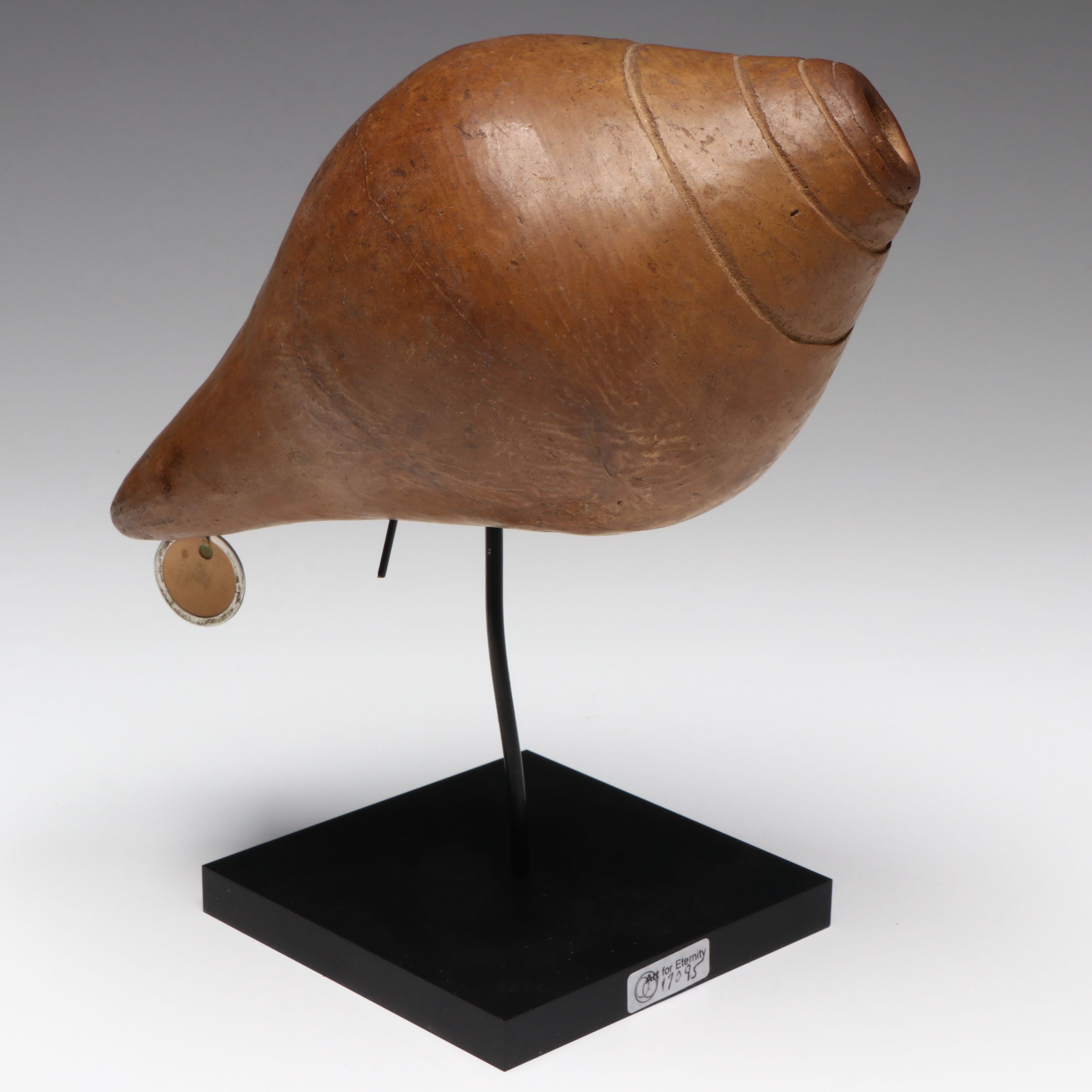 Colima Pottery Conch Seashell, Circa 100 BCE–250 CE