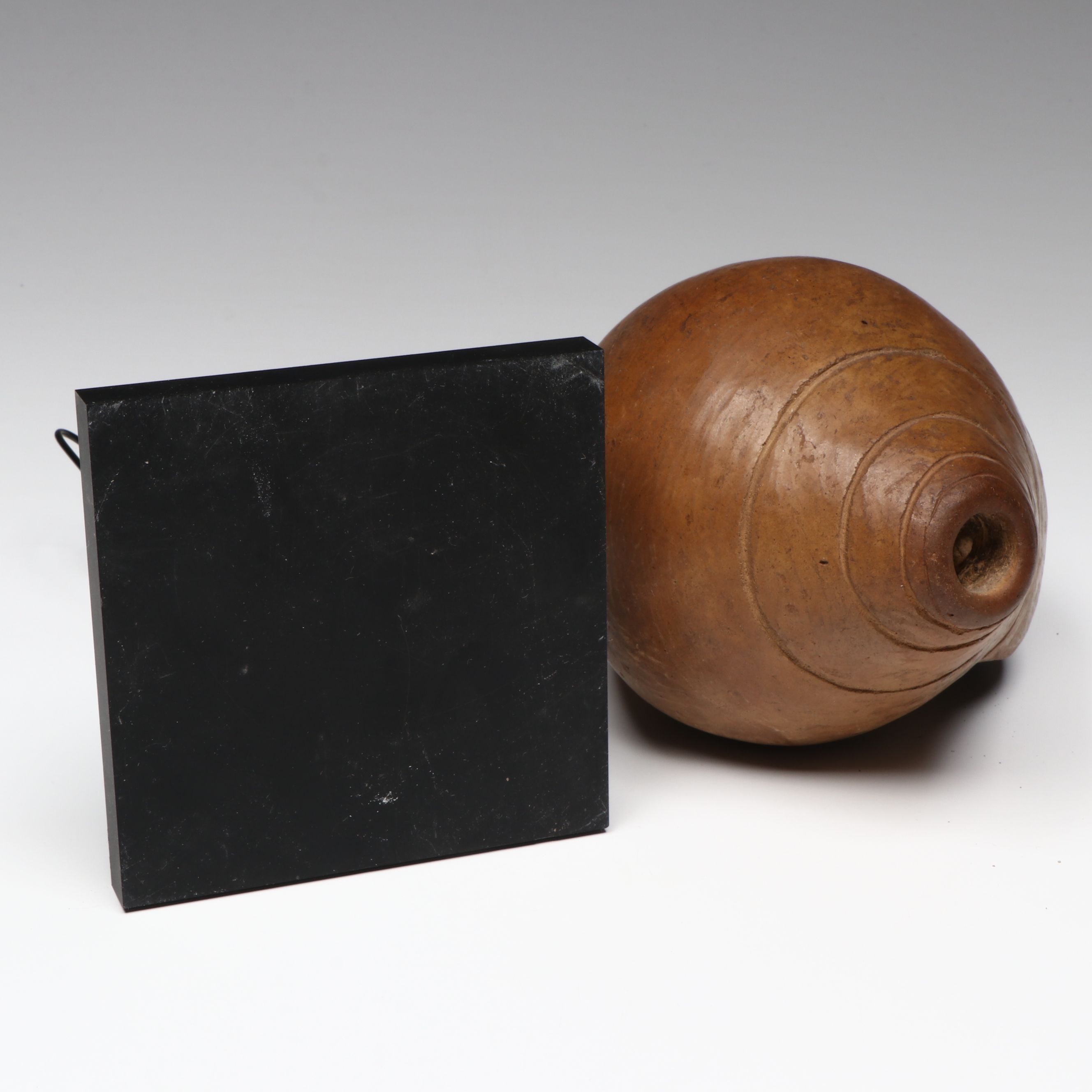 Colima Pottery Conch Seashell, Circa 100 BCE–250 CE