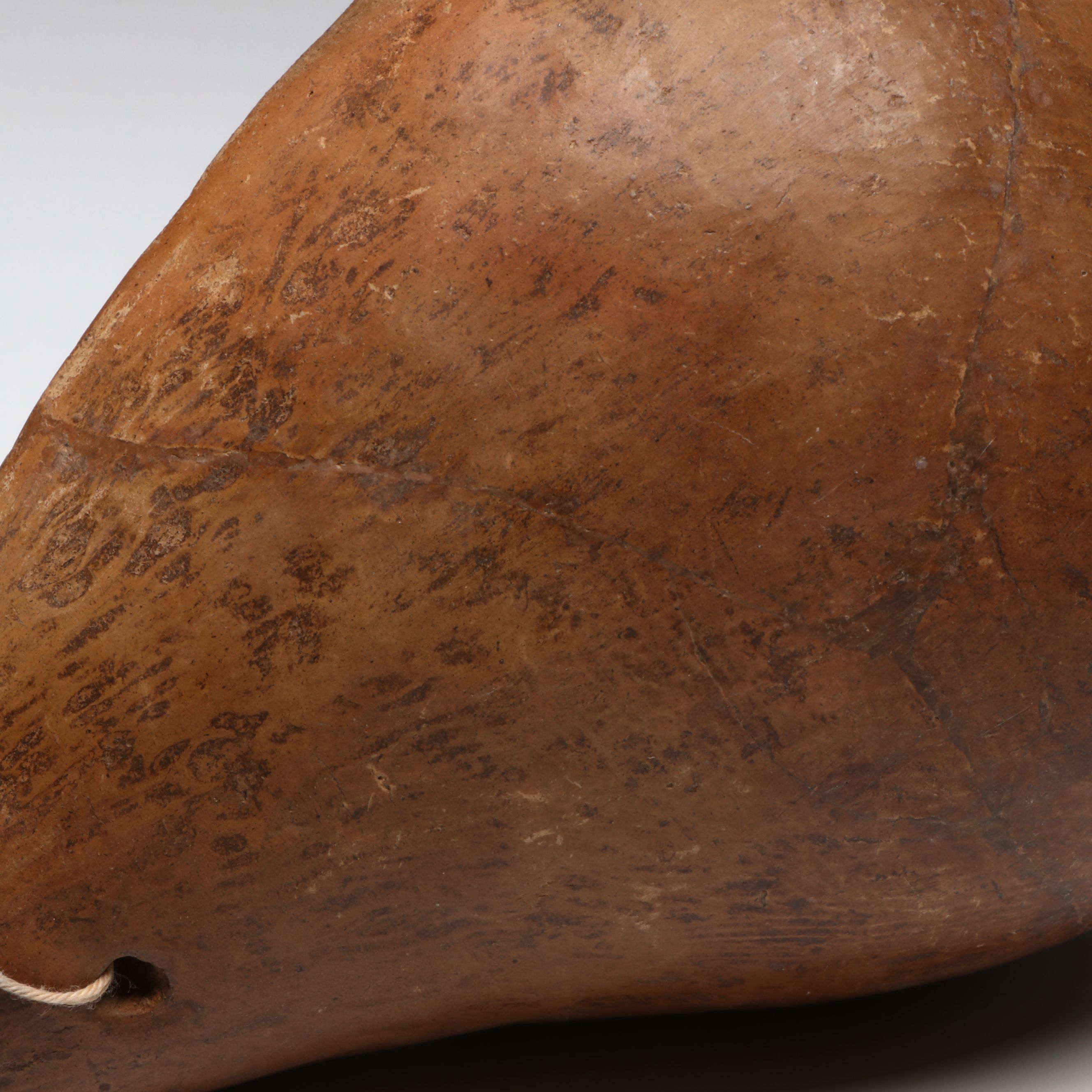 Colima Pottery Conch Seashell, Circa 100 BCE–250 CE