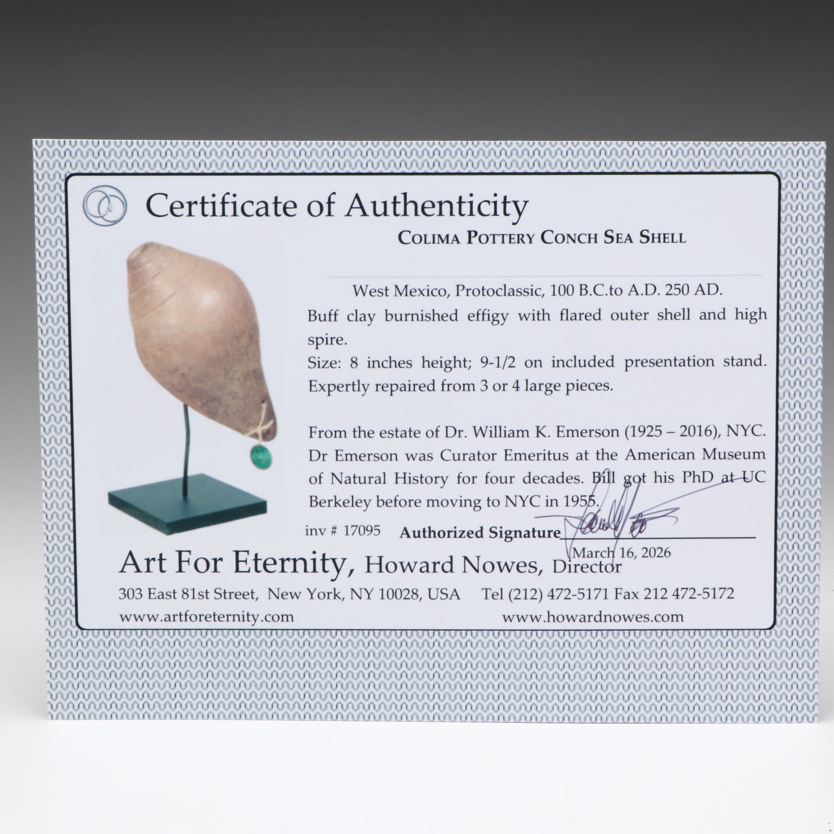 Colima Pottery Conch Seashell, Circa 100 BCE–250 CE