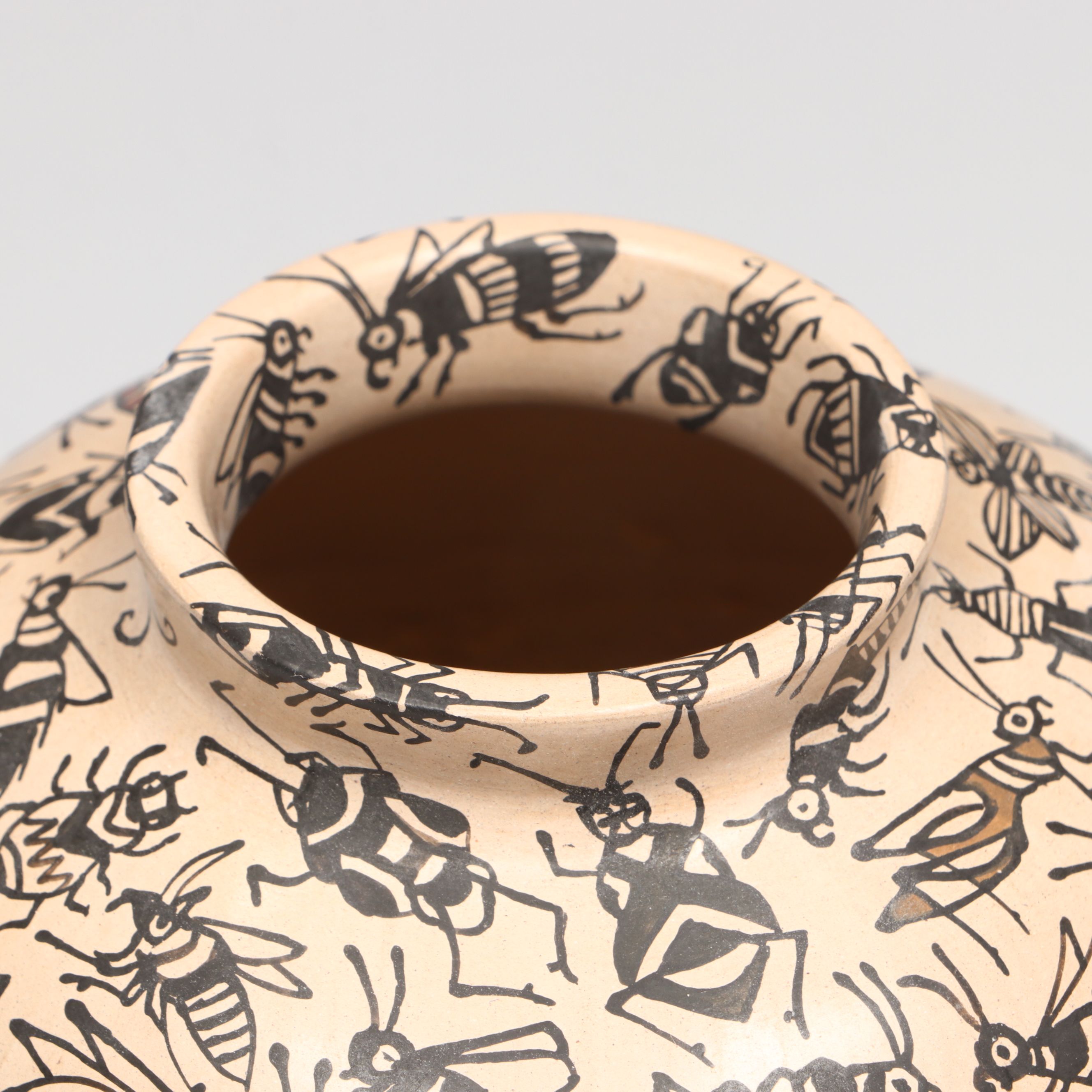 Manuel Rodriguez Guillen Mata Ortiz Pottery Vase with Insects and Lizards