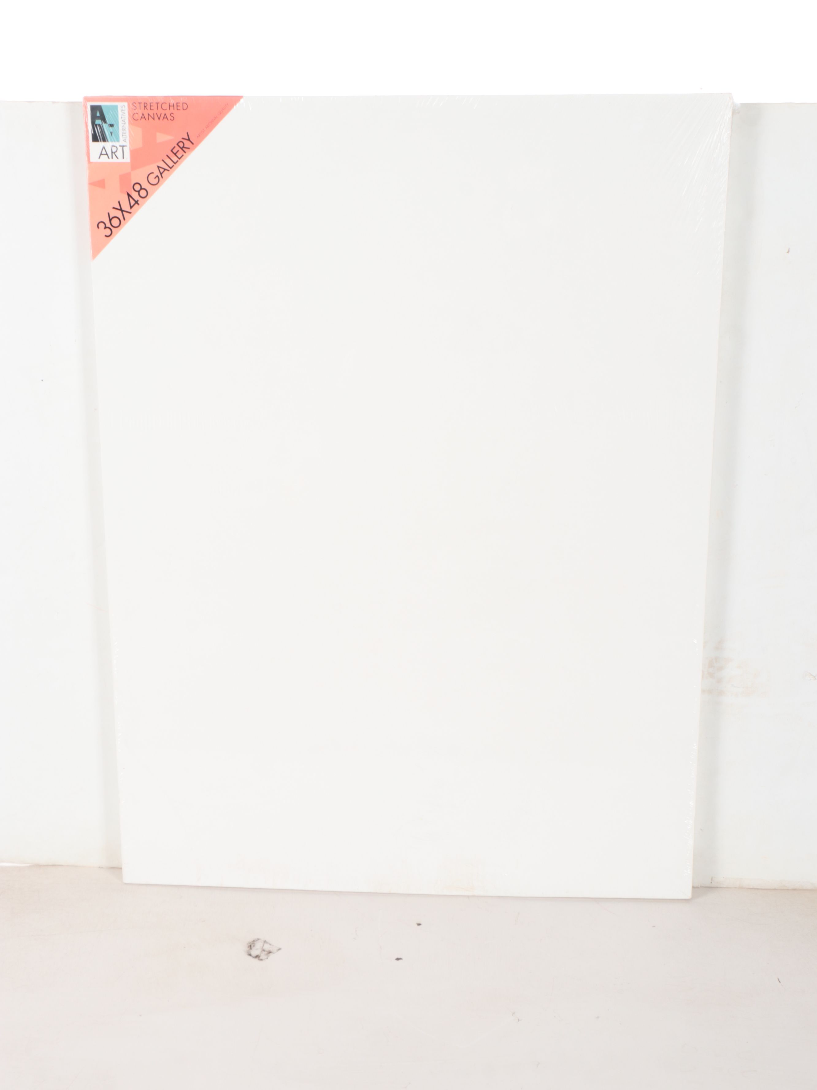 Art Alternatives, The Edge and Winsor & Newton Painting Canvases