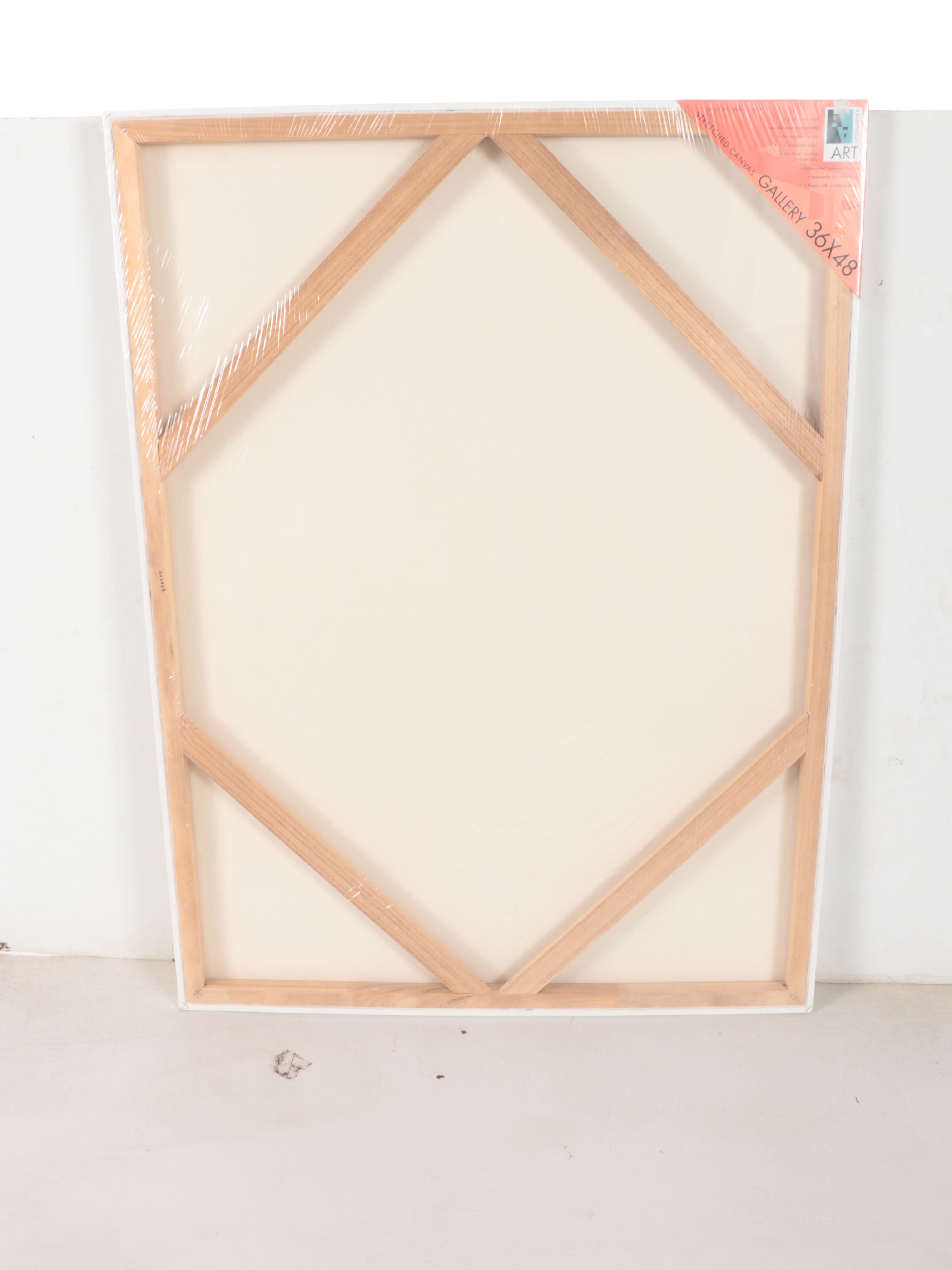 Art Alternatives, The Edge and Winsor & Newton Painting Canvases