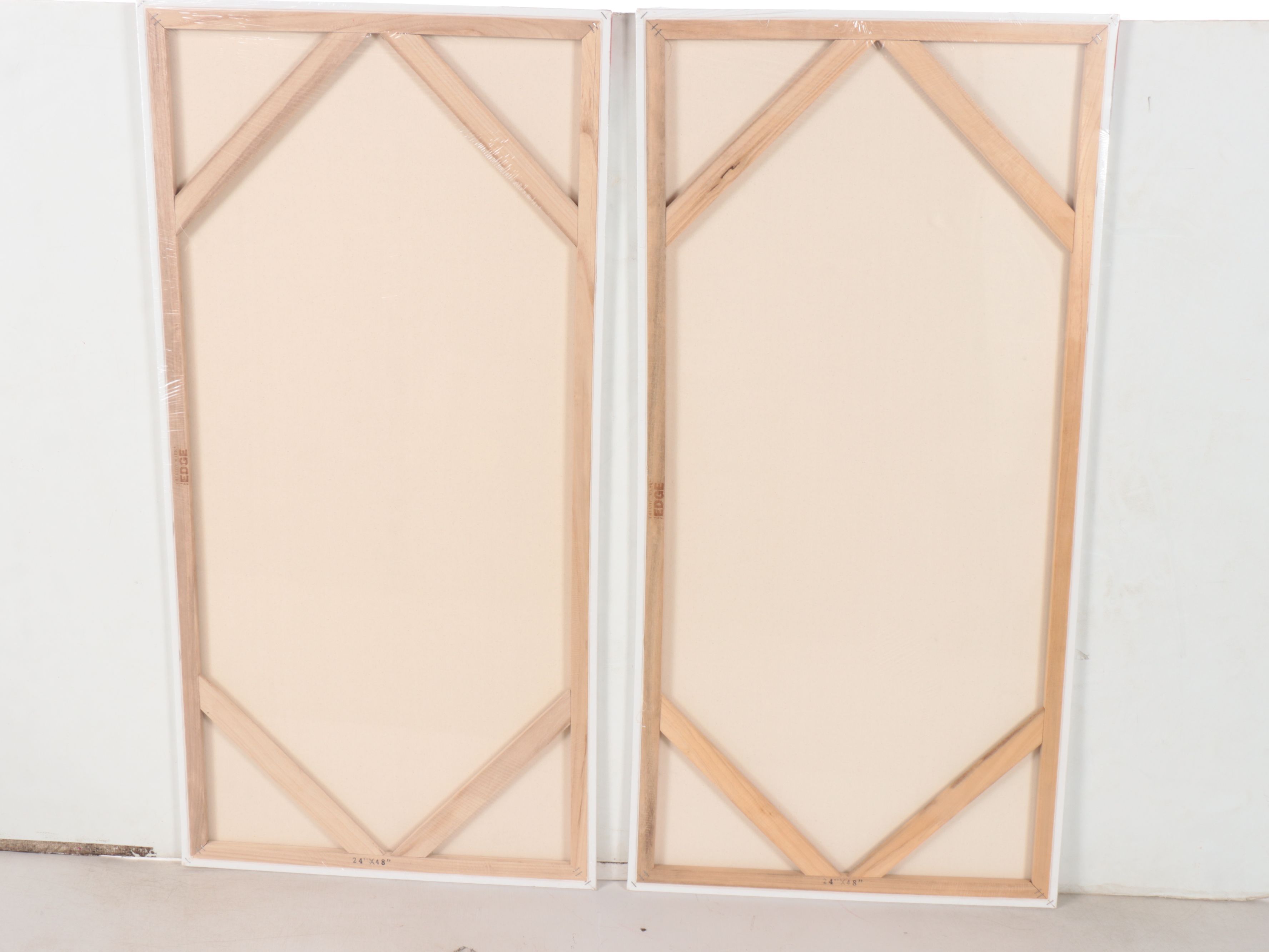 Art Alternatives, The Edge and Winsor & Newton Painting Canvases