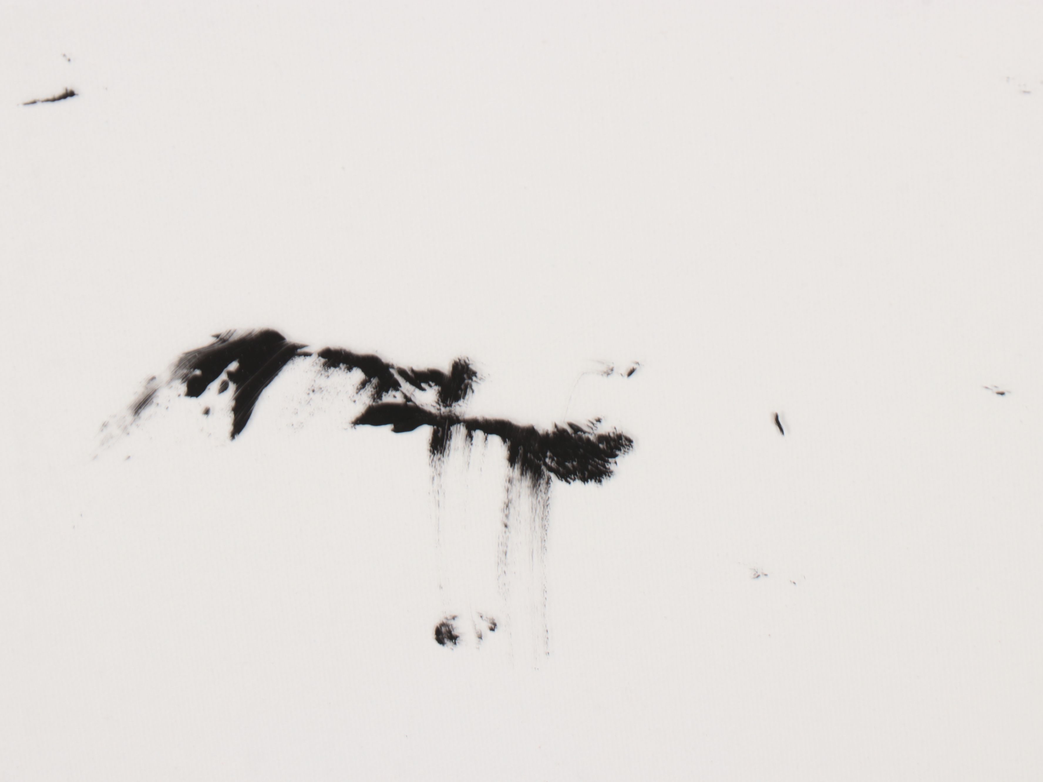 Art Alternatives, The Edge and Winsor & Newton Painting Canvases