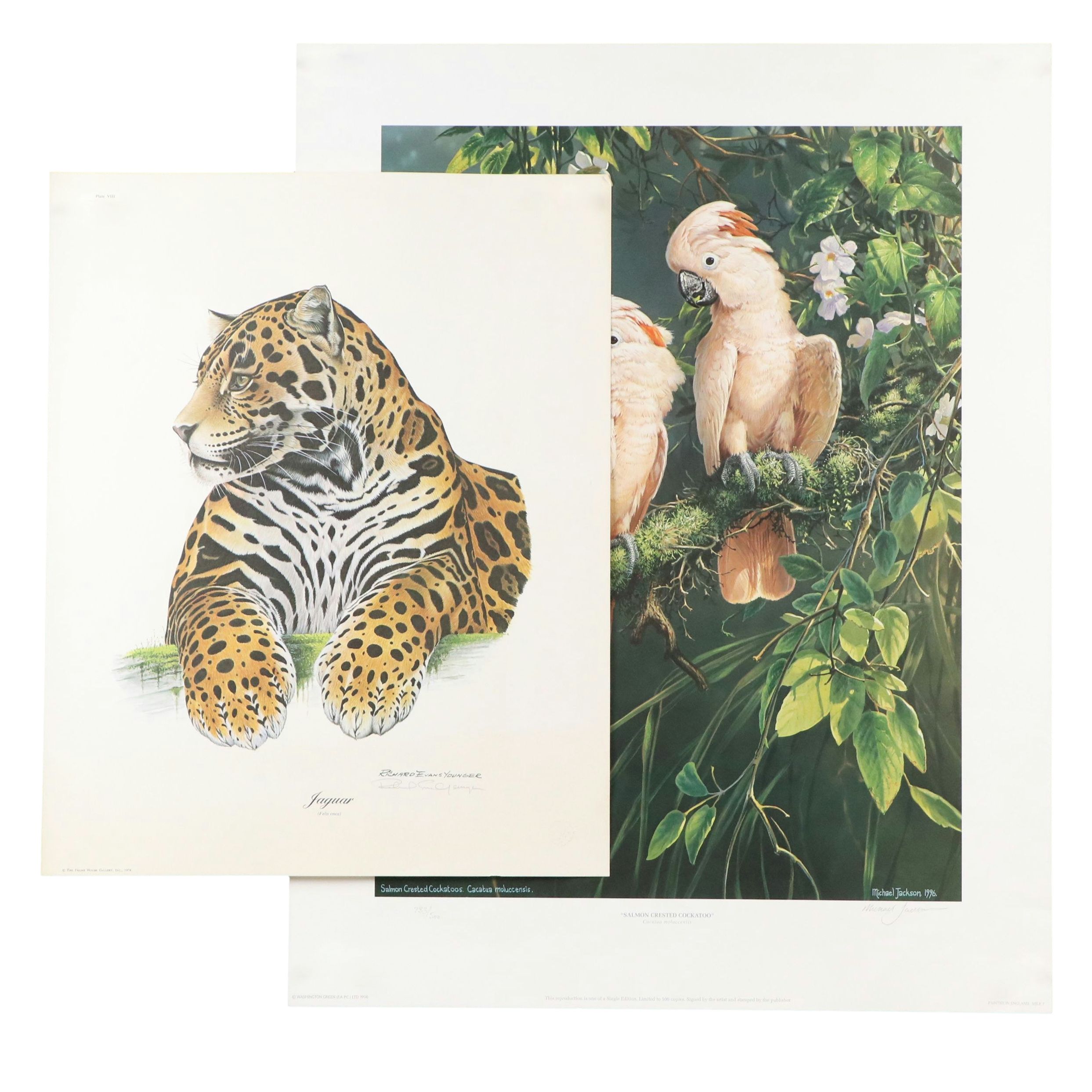 Offset Lithographs "Jaguar" and "Salmon Crested Cockatoo," 1974 and 1996