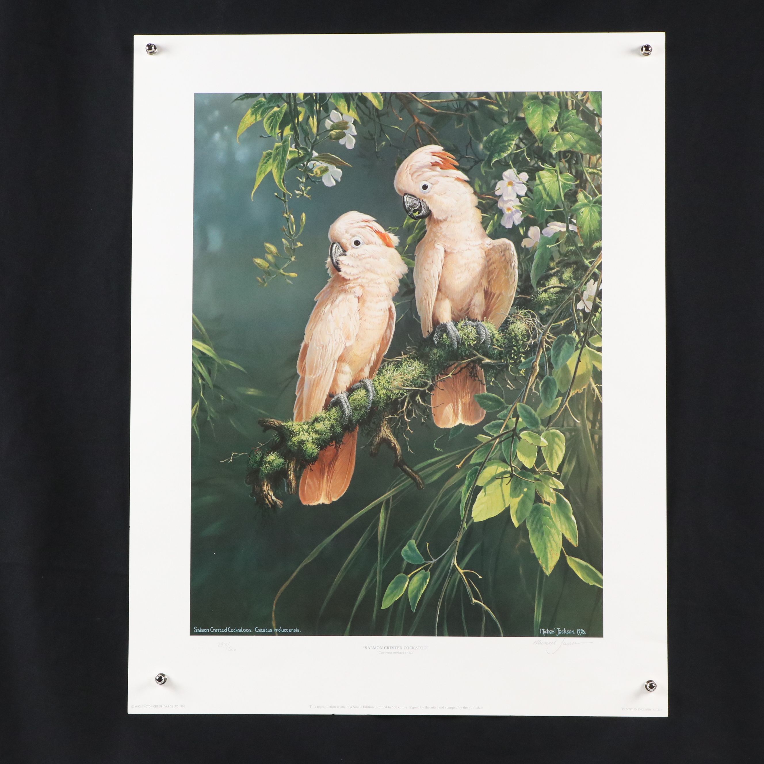 Offset Lithographs "Jaguar" and "Salmon Crested Cockatoo," 1974 and 1996