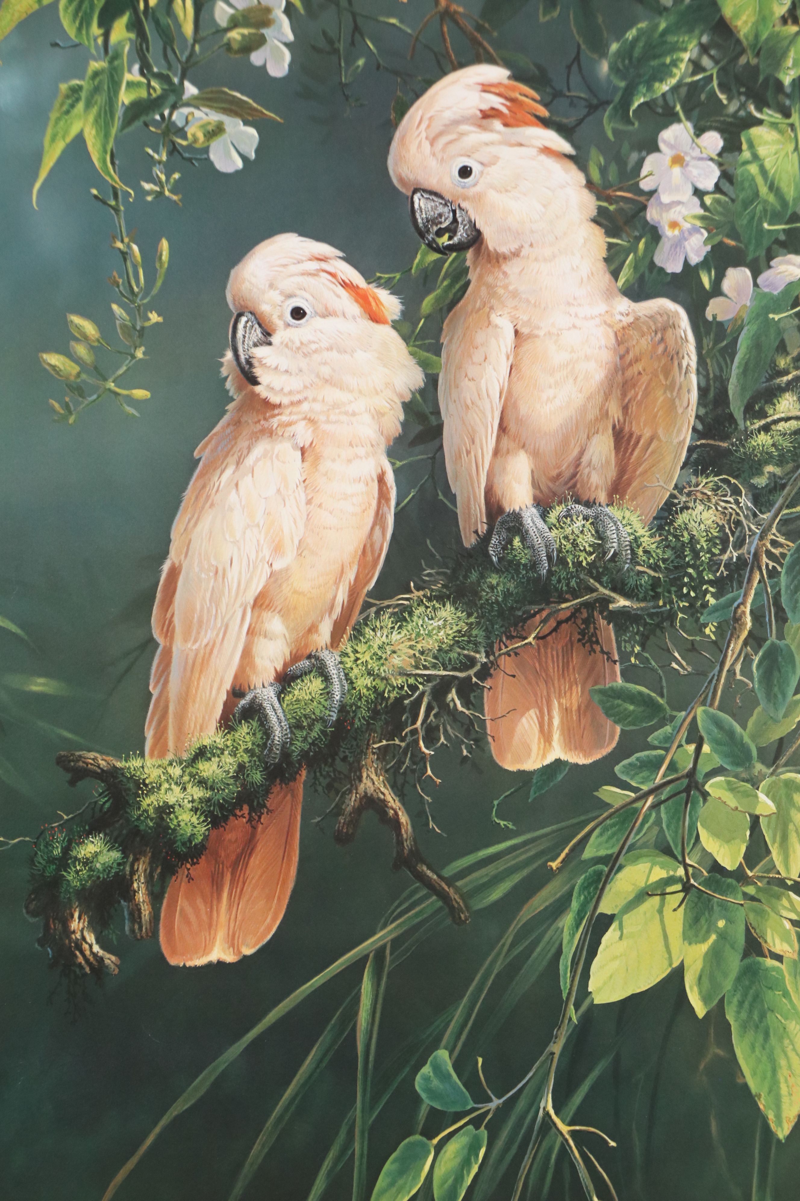 Offset Lithographs "Jaguar" and "Salmon Crested Cockatoo," 1974 and 1996