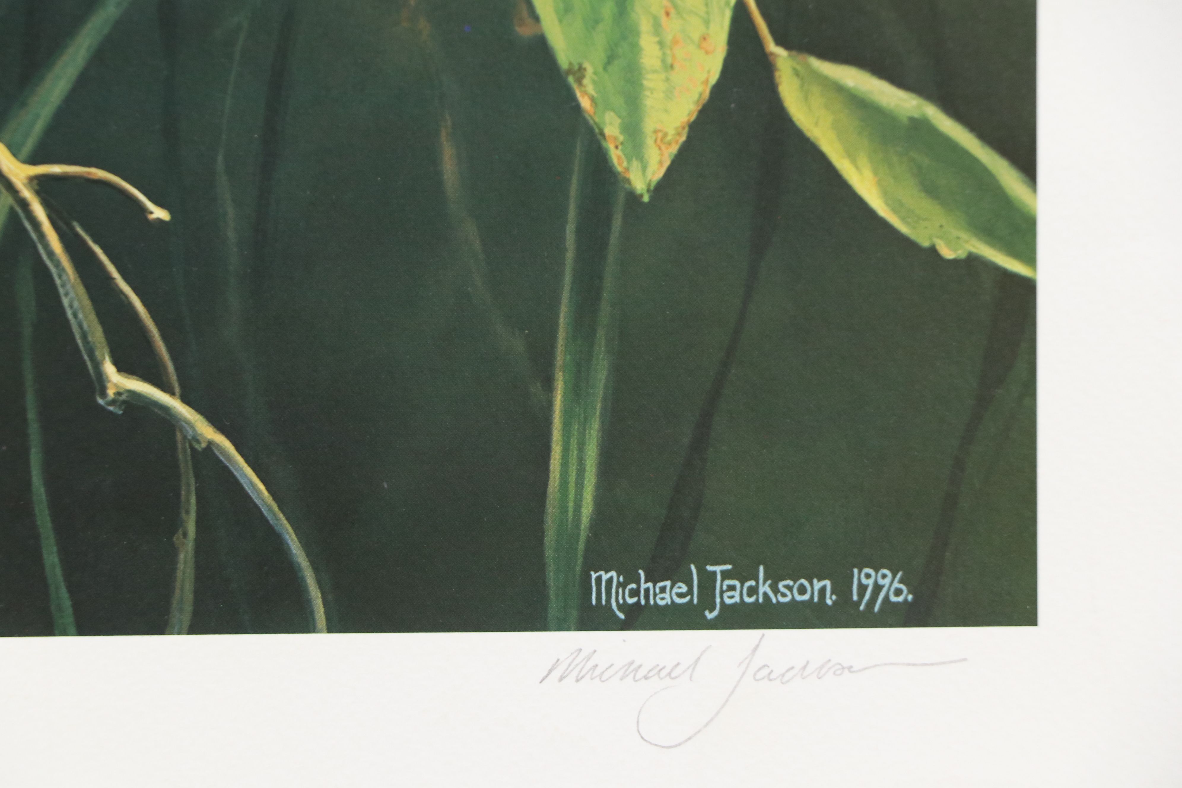 Offset Lithographs "Jaguar" and "Salmon Crested Cockatoo," 1974 and 1996