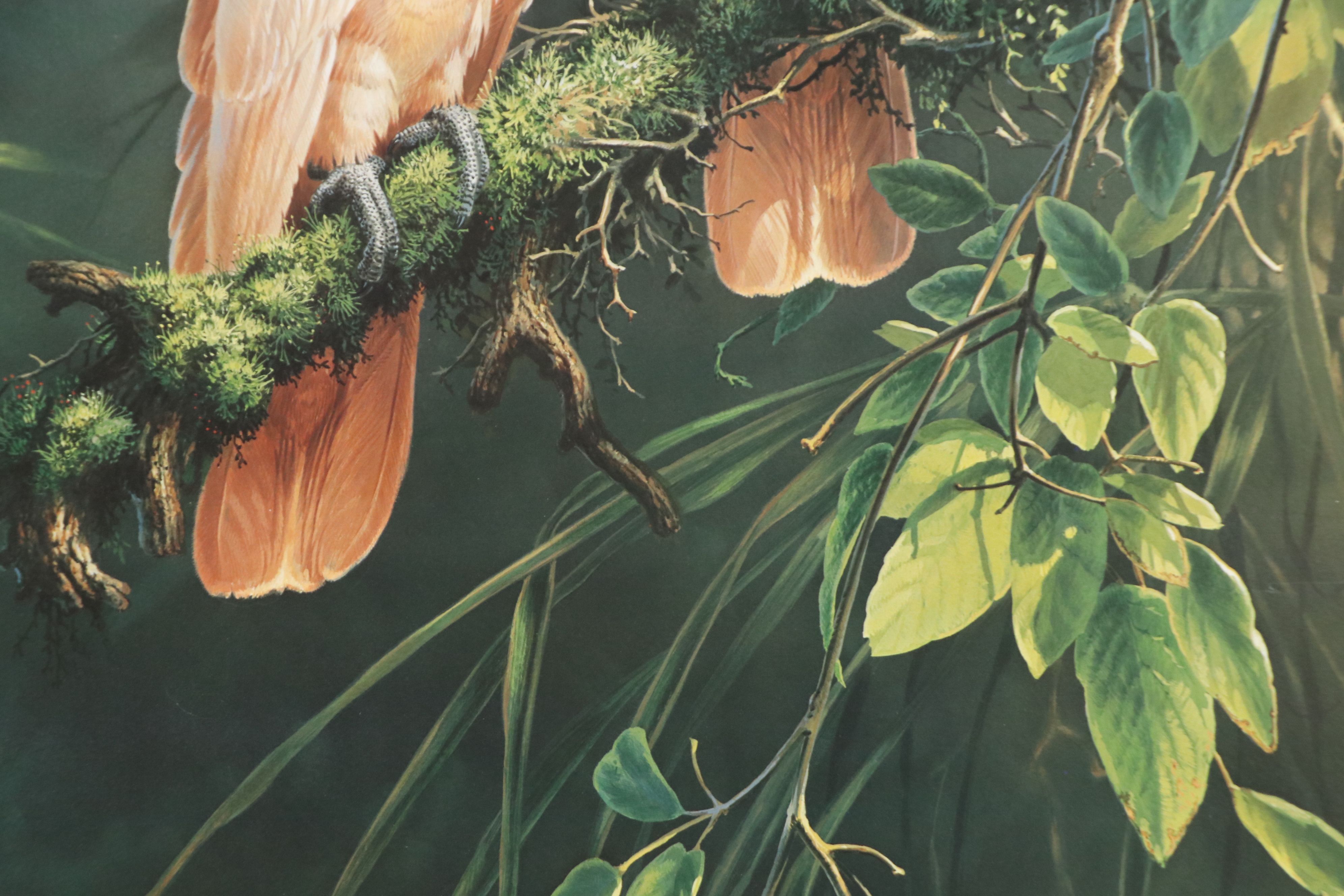 Offset Lithographs "Jaguar" and "Salmon Crested Cockatoo," 1974 and 1996