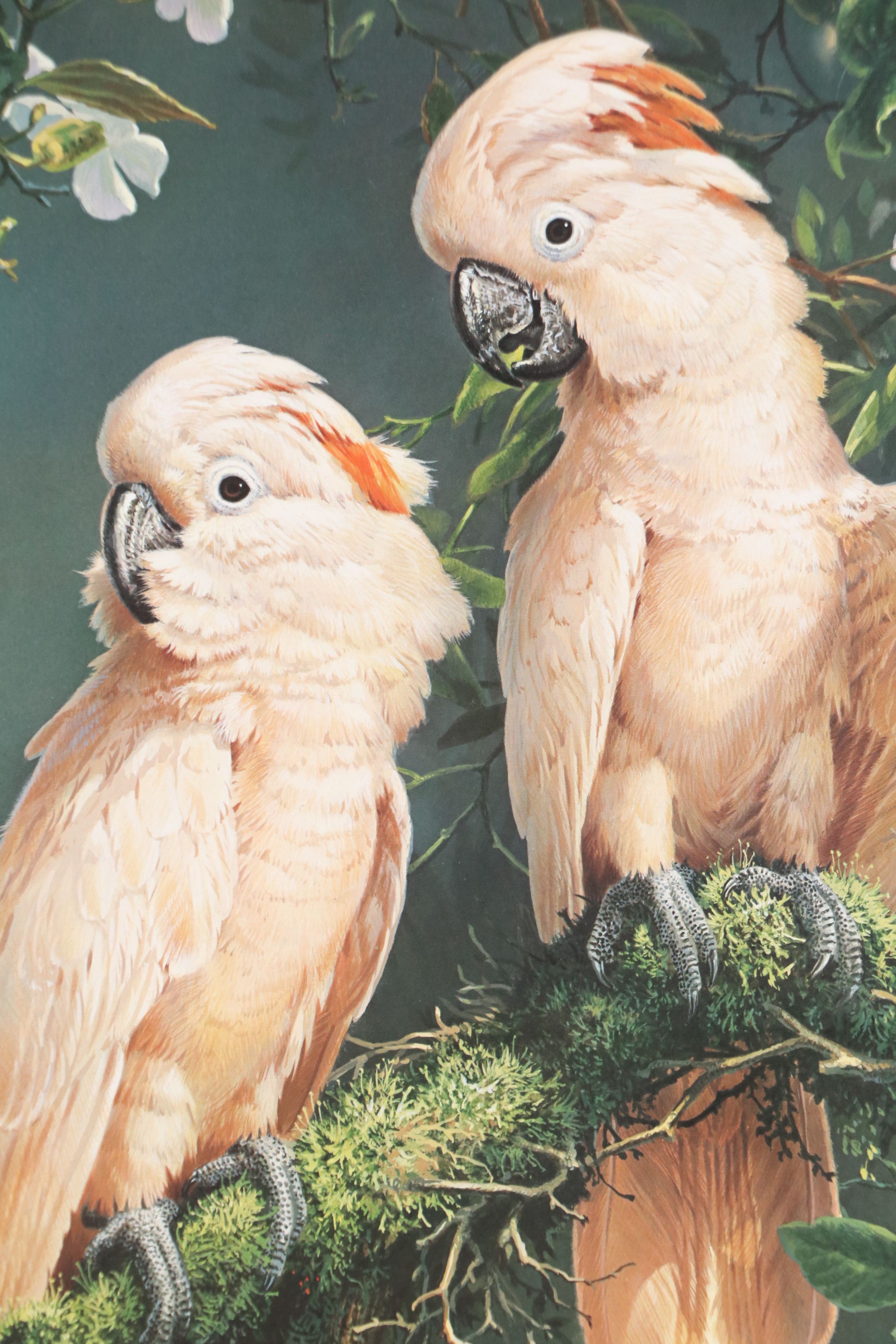 Offset Lithographs "Jaguar" and "Salmon Crested Cockatoo," 1974 and 1996