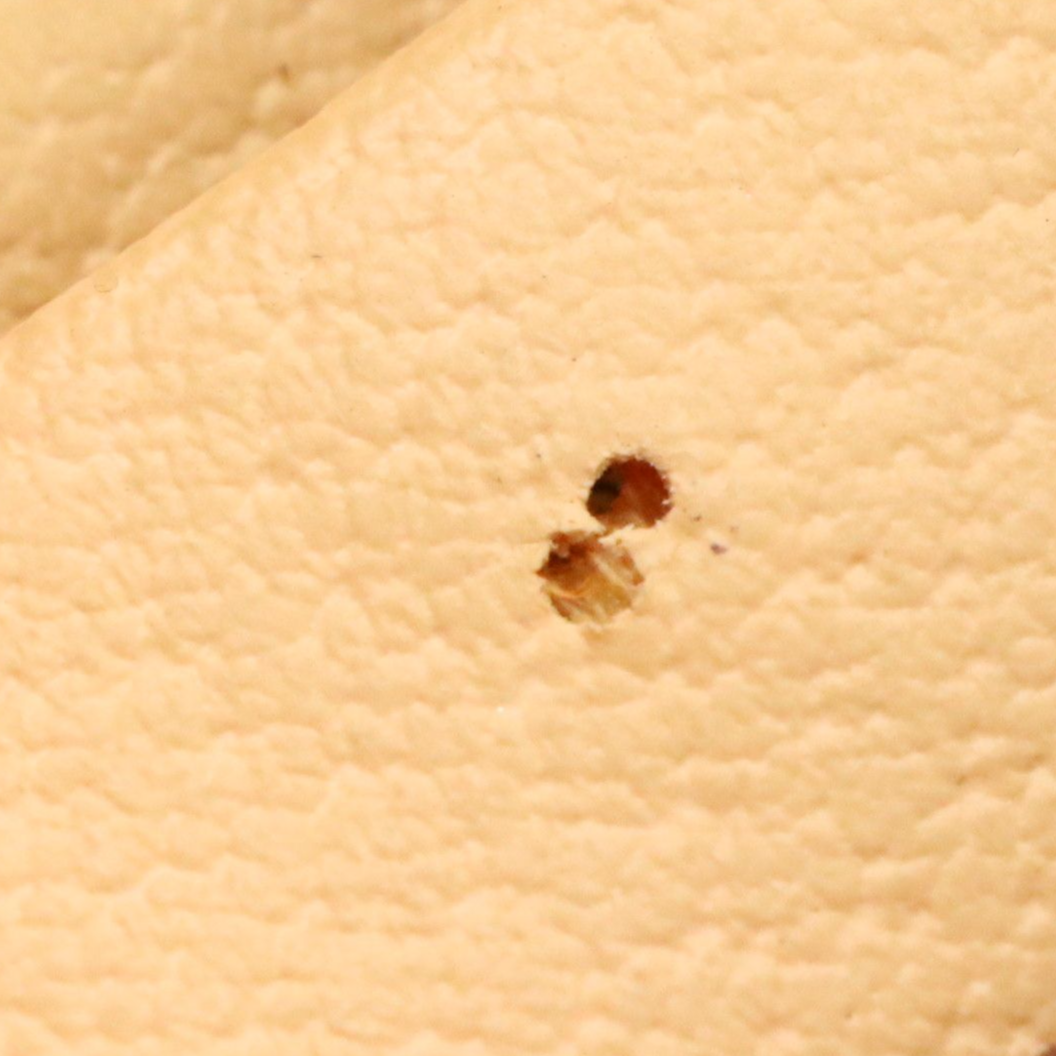 ETRO Snap Top Handle Small Hobo Bag in Paisley Printed Nylon Canvas