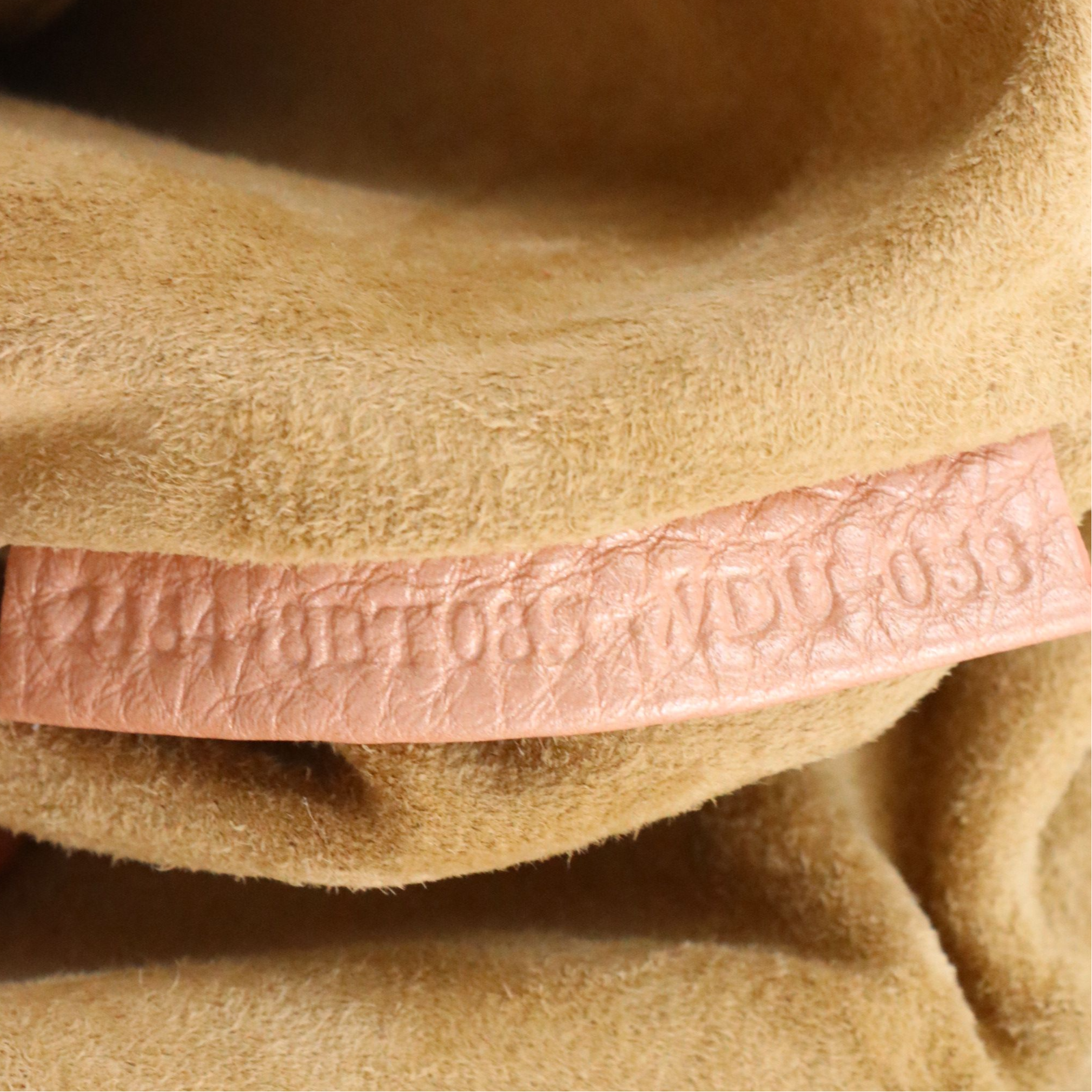 Fendi Selleria Small Doctors Crossbody Bag in Blush Pink Pearlescent Leather