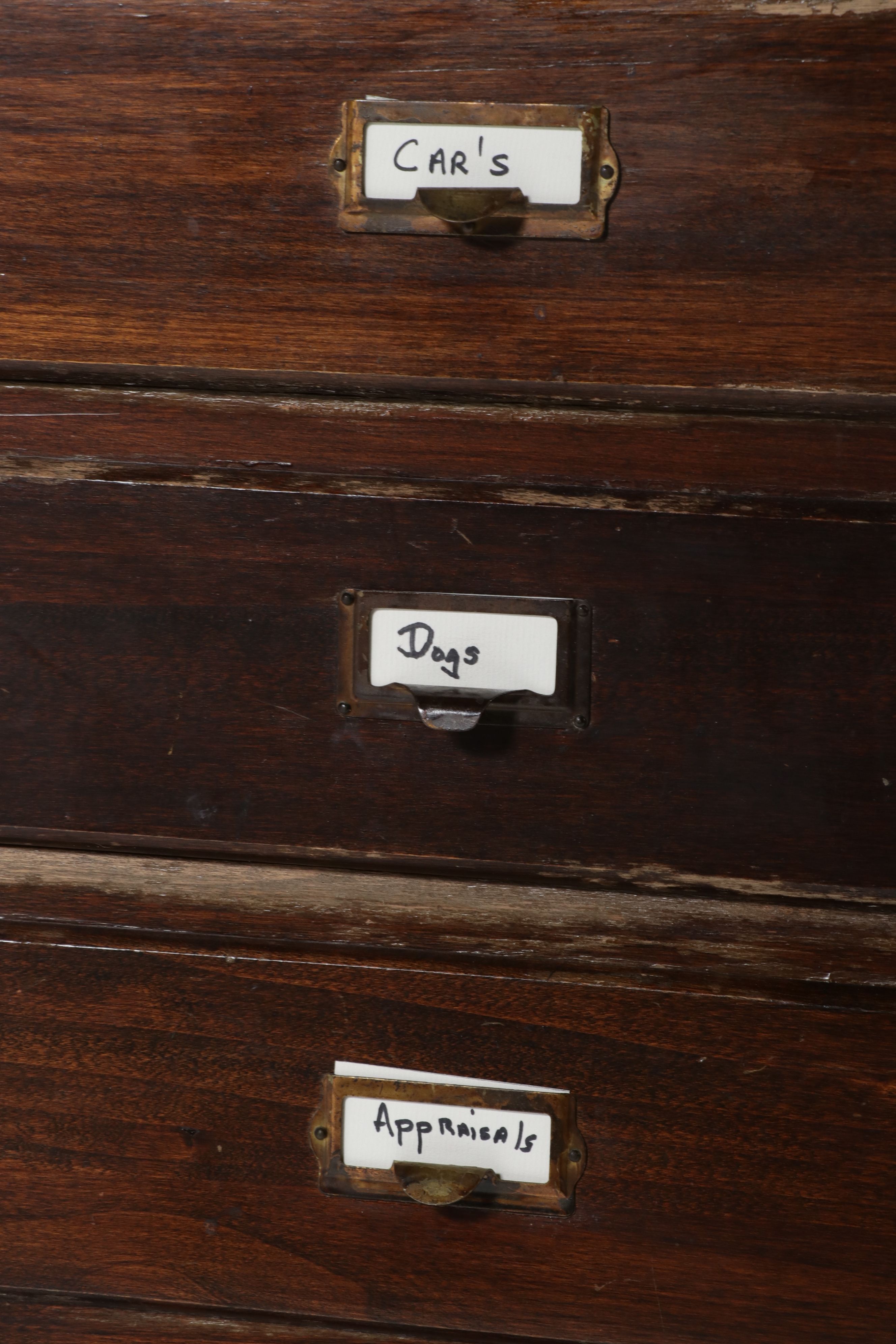 American Industrial Multi-Drawer Specimen or Filing Cabinet, Early 20th Century
