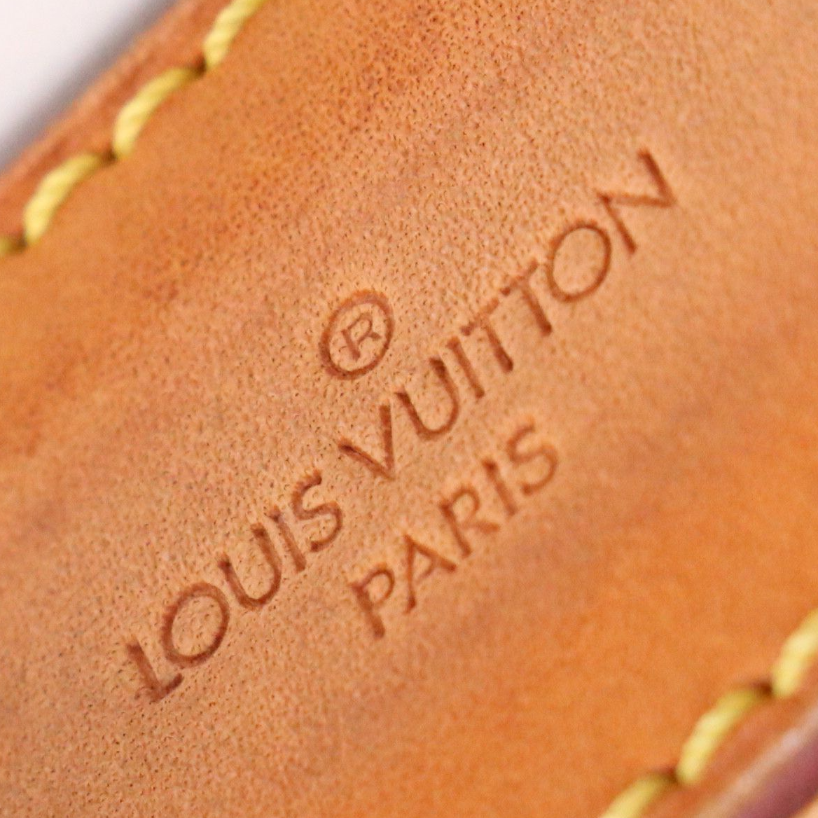 Louis Vuitton Saint Cloud GM Bag in Monogram Canvas and Vachetta Leather
