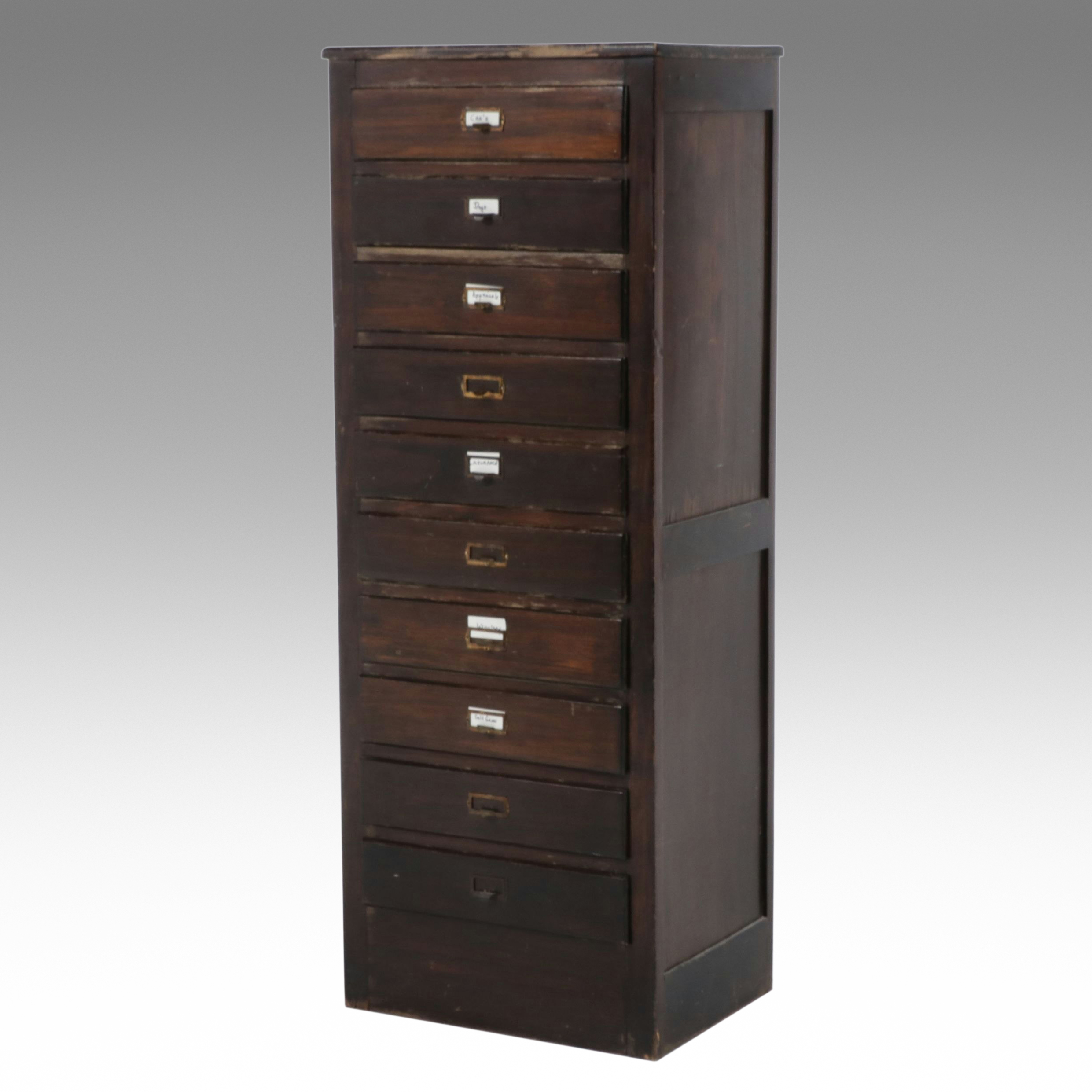 American Industrial Multi-Drawer Specimen or Filing Cabinet, Early 20th Century