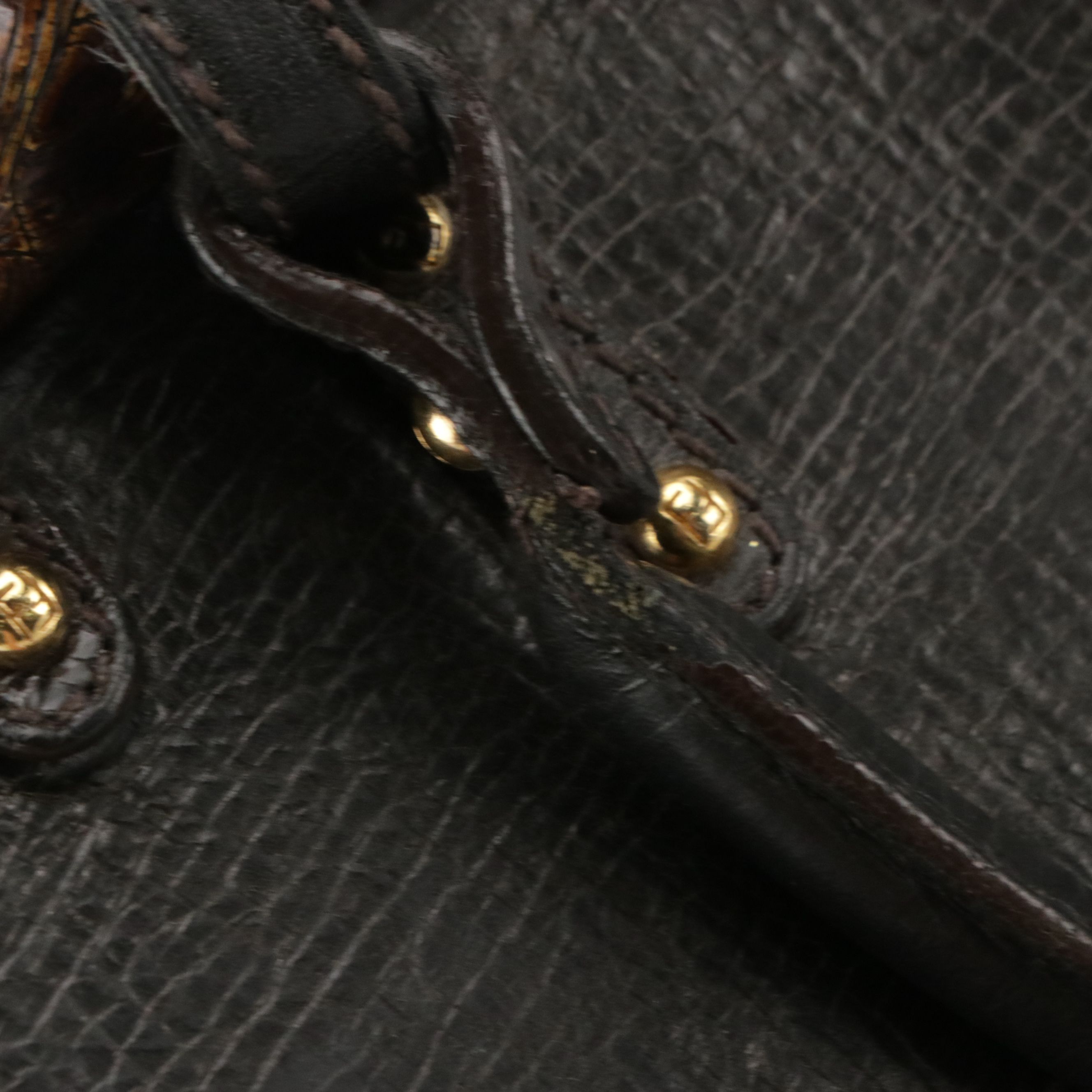 Fendi Magic Top Handle Bag in Shiny Tortuga and Brown Grained Leather