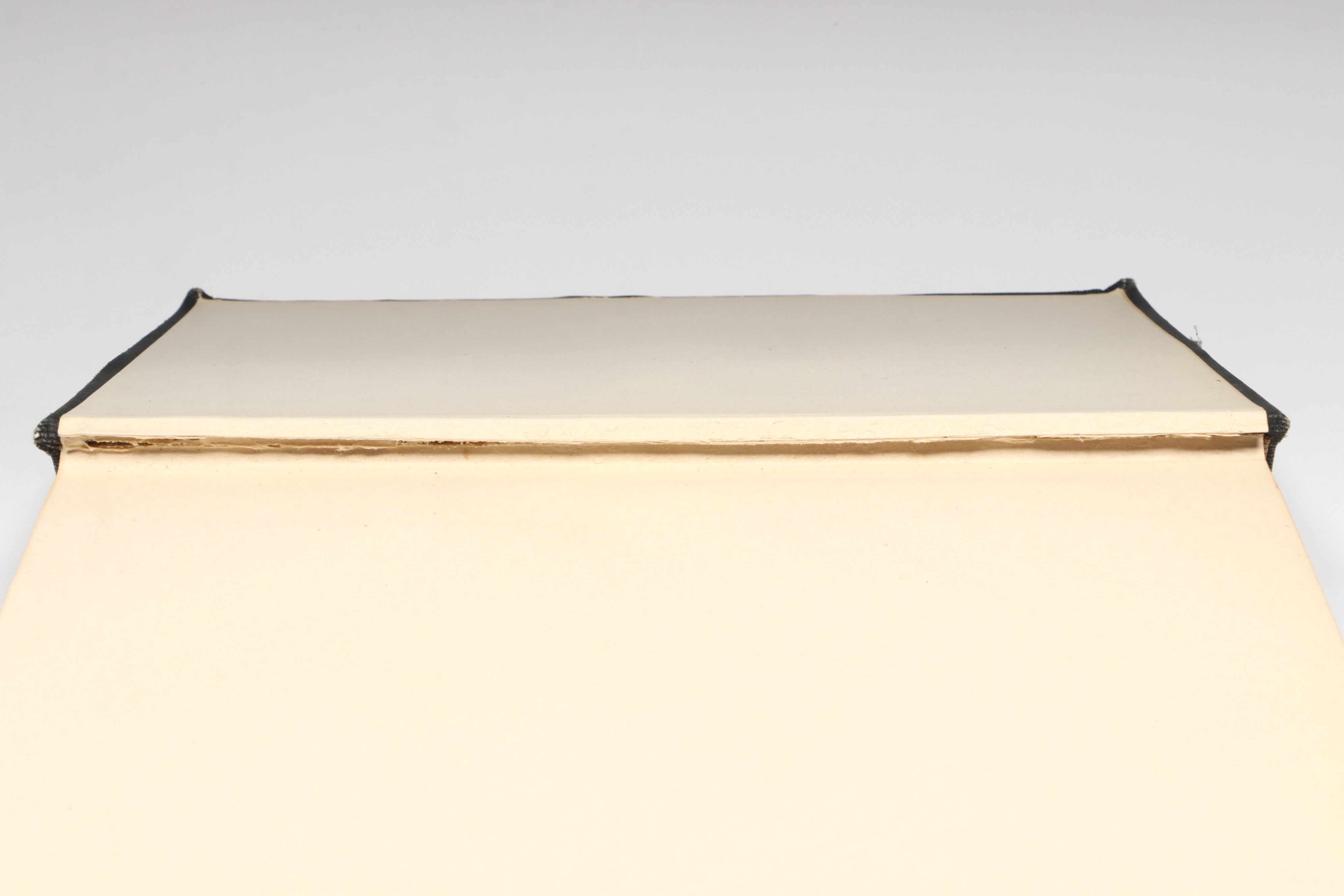 First Edition "Dictionary of the Apostolic Church" Edited by James Hastings