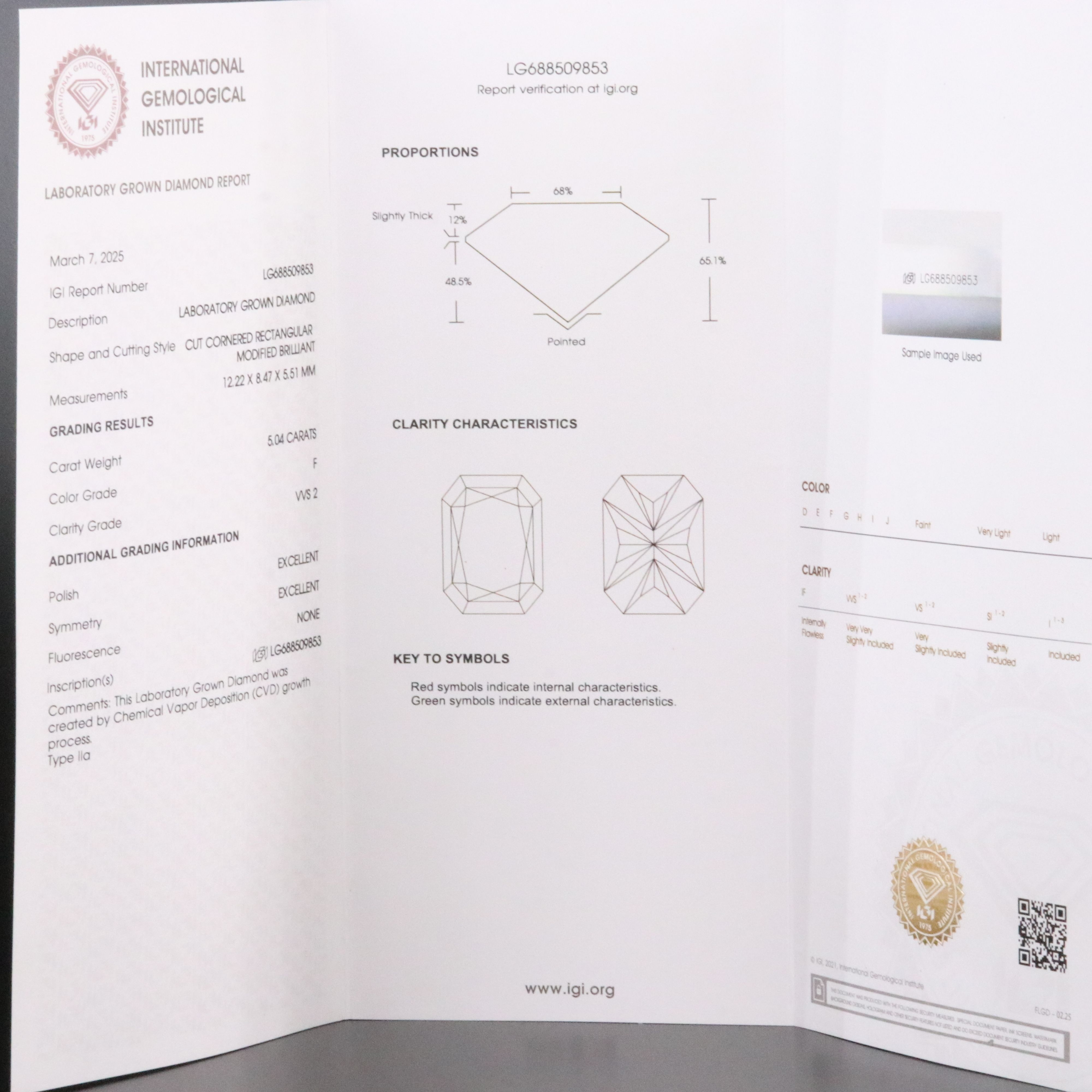 14K 9.04 CTW Lab Grown Diamond Ring Set with IGI Report