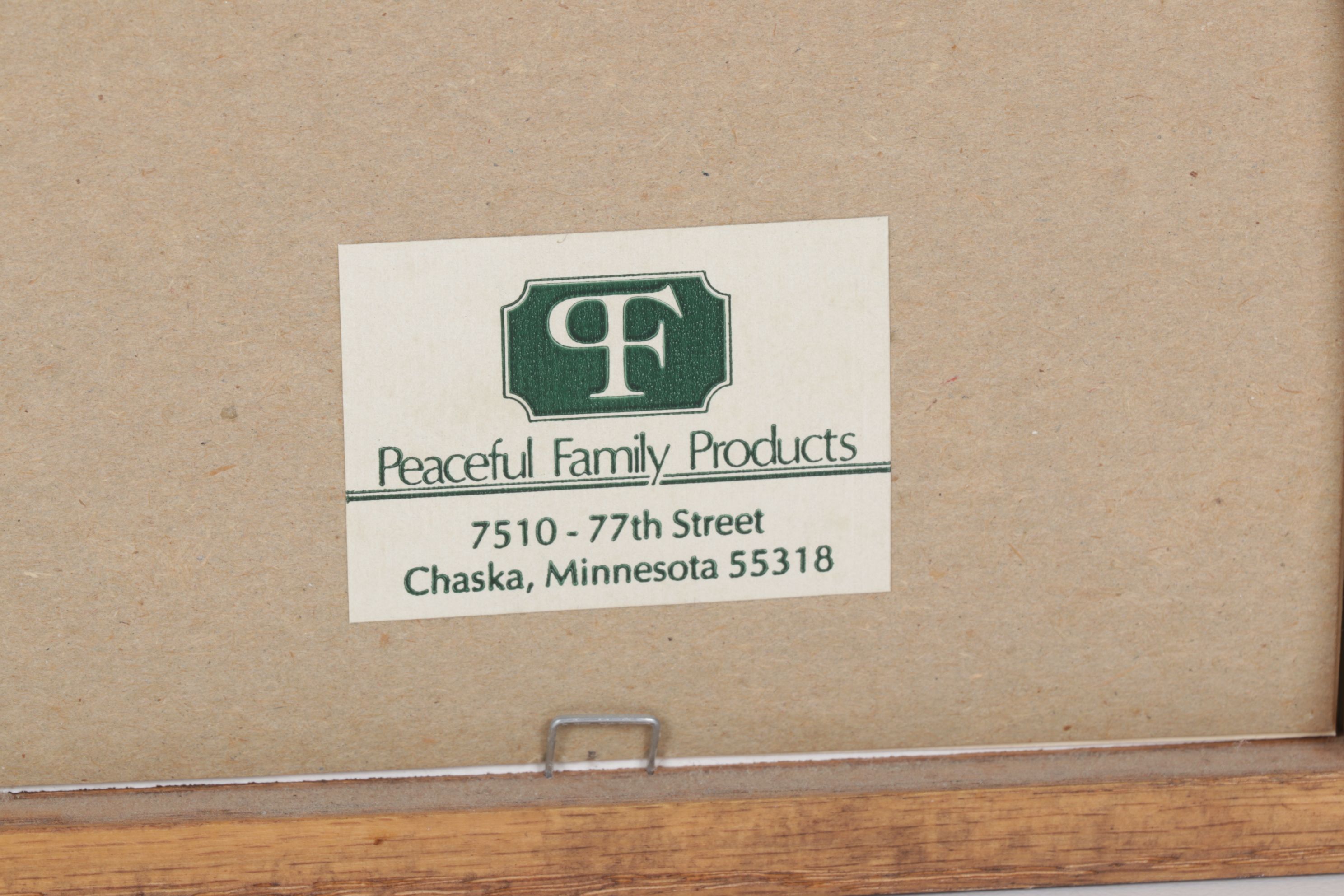 Framed "Scherenschnitte" Papercut Folk Art and More