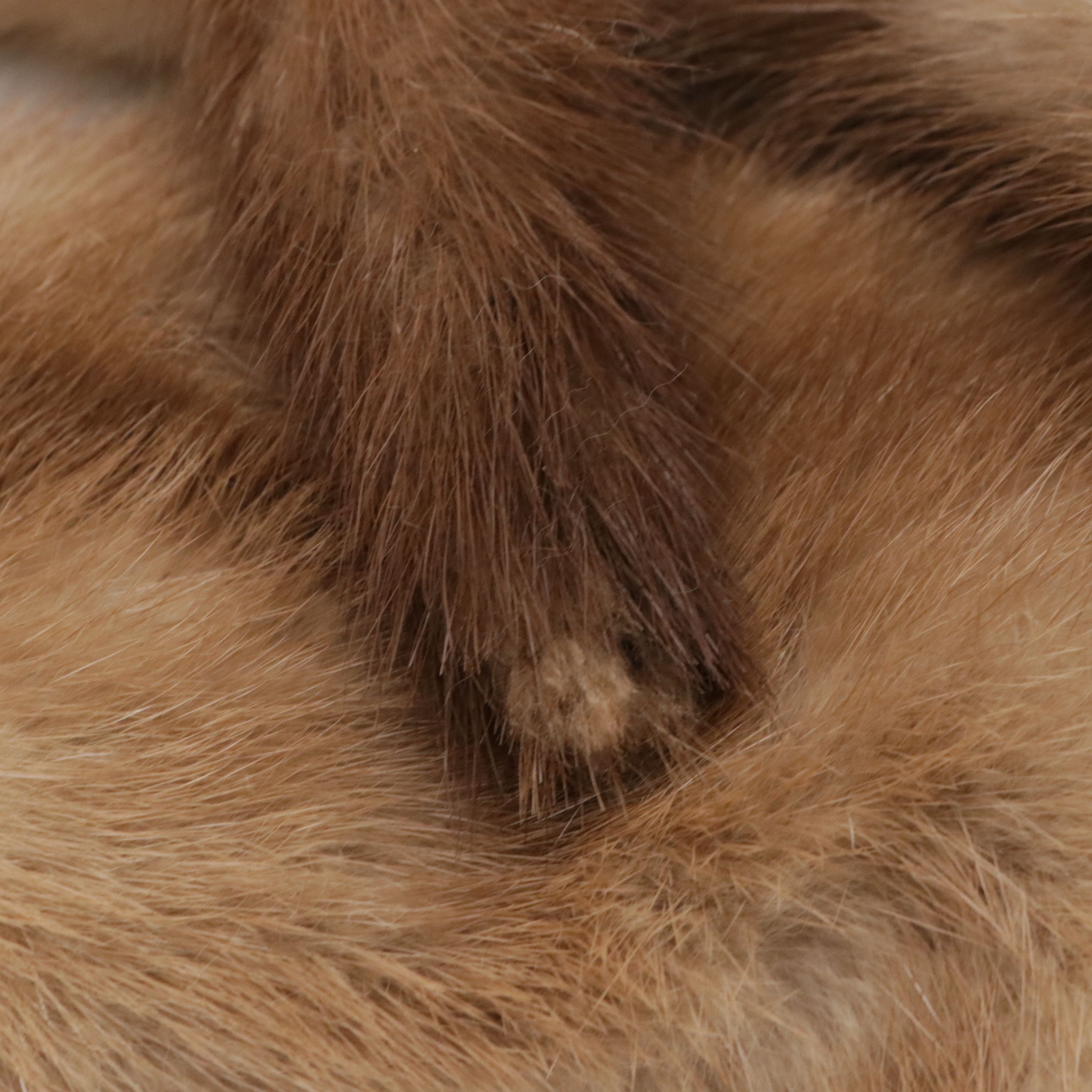 Stone Marten Fur Full Pelt Stole from Switzer's Furs, Mid-20th Century