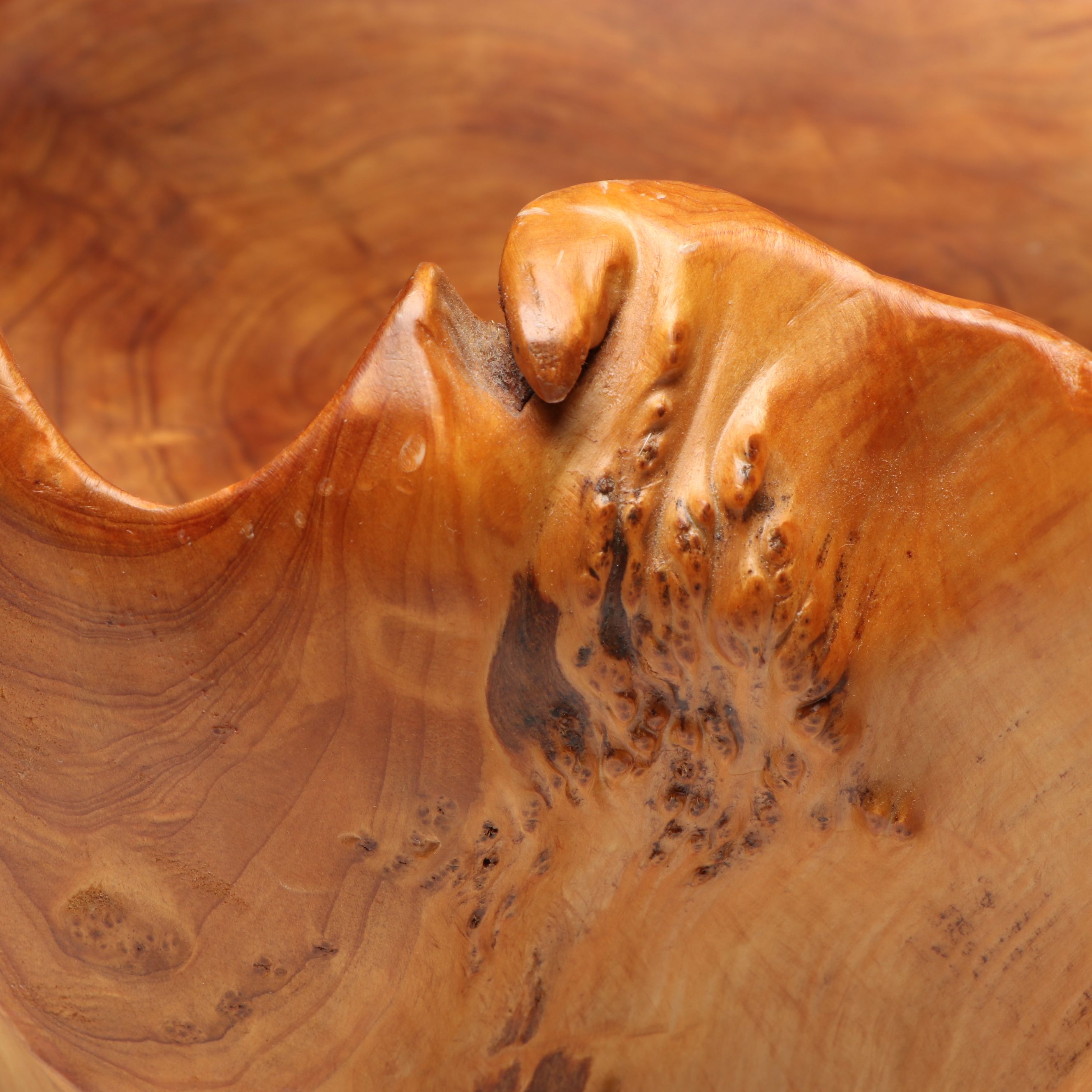 Burled Oak Knot Basket