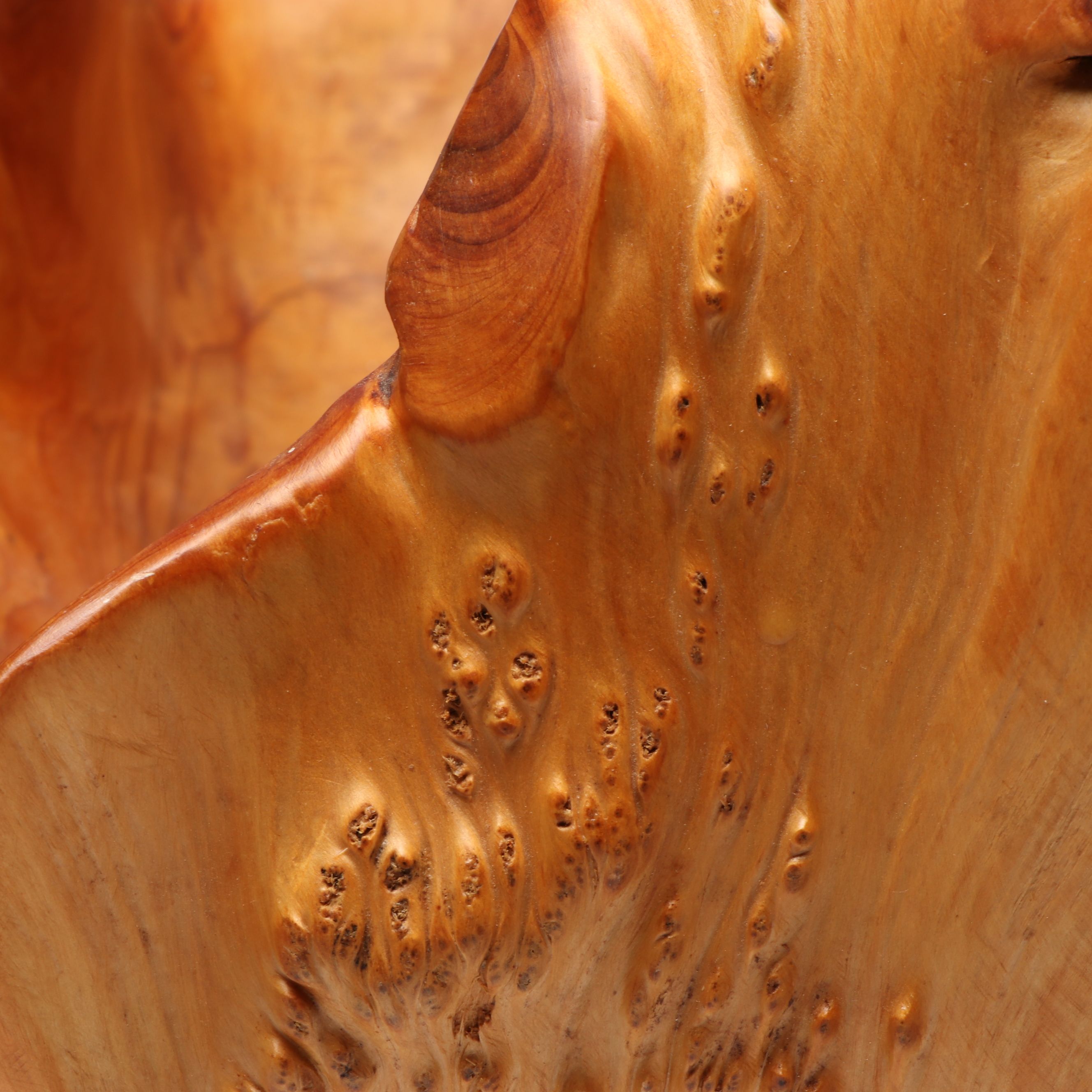 Burled Oak Knot Basket