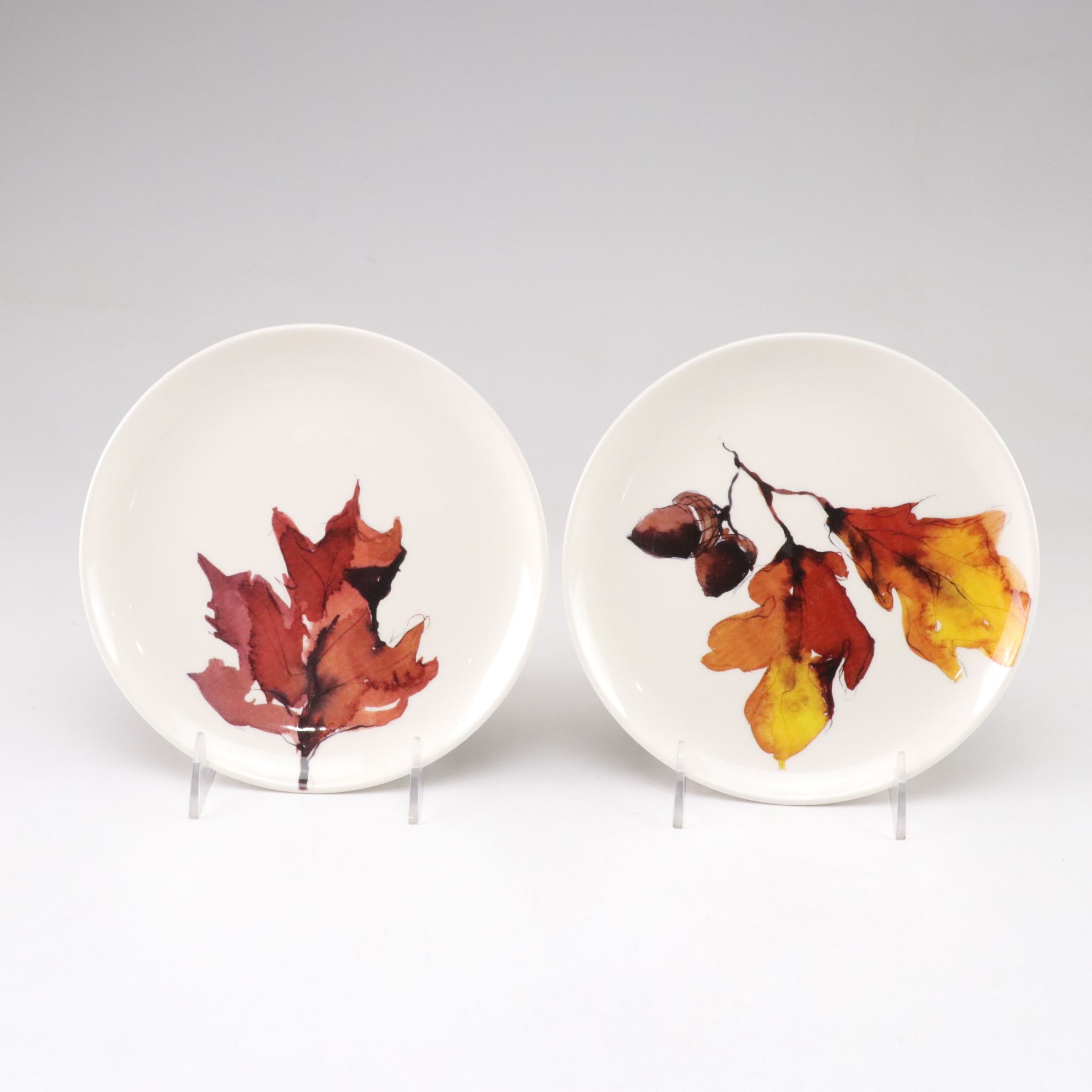 Crate & Barrel "Autumn Leaf" Plates with Adams & Sons "Empress" Creamer & Sugar