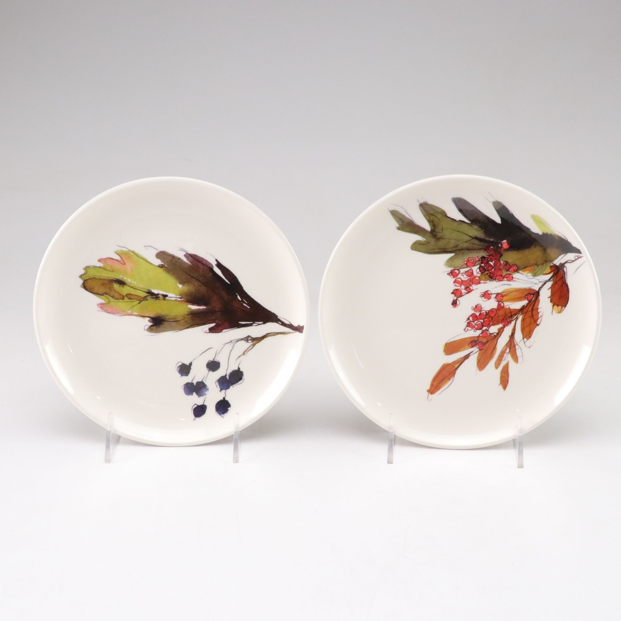 Crate & Barrel "Autumn Leaf" Plates with Adams & Sons "Empress" Creamer & Sugar
